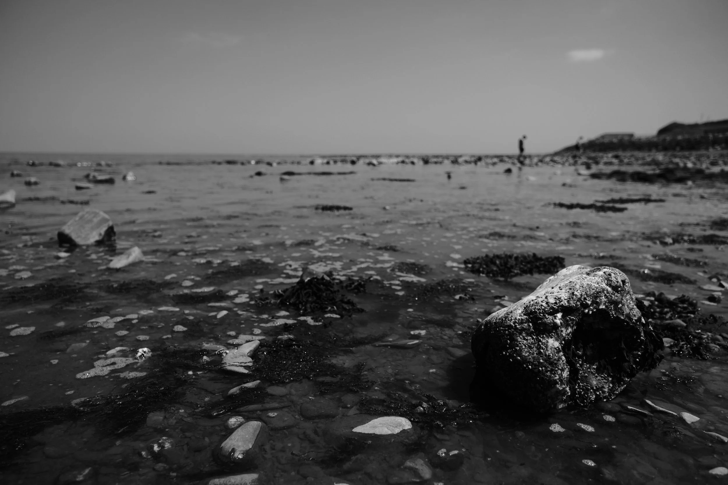 DSCF0405.JPG