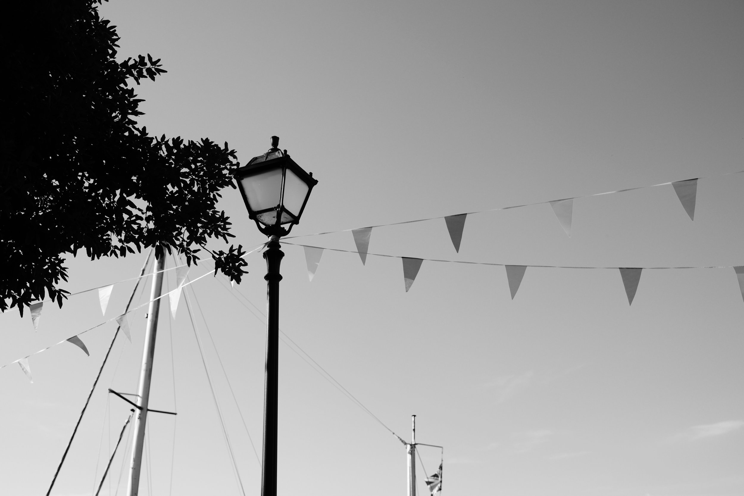 DSCF0674.JPG