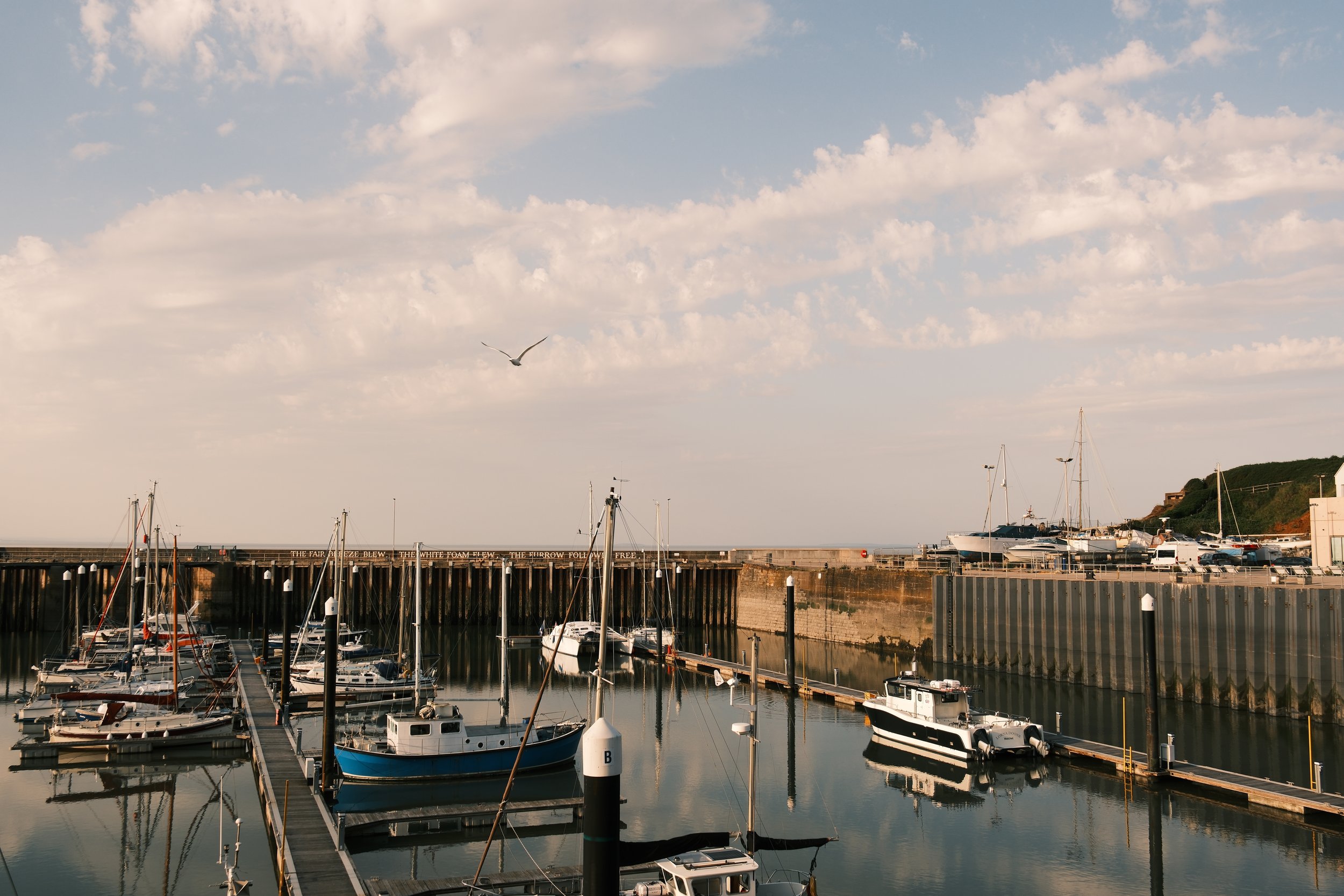 DSCF0710.JPG