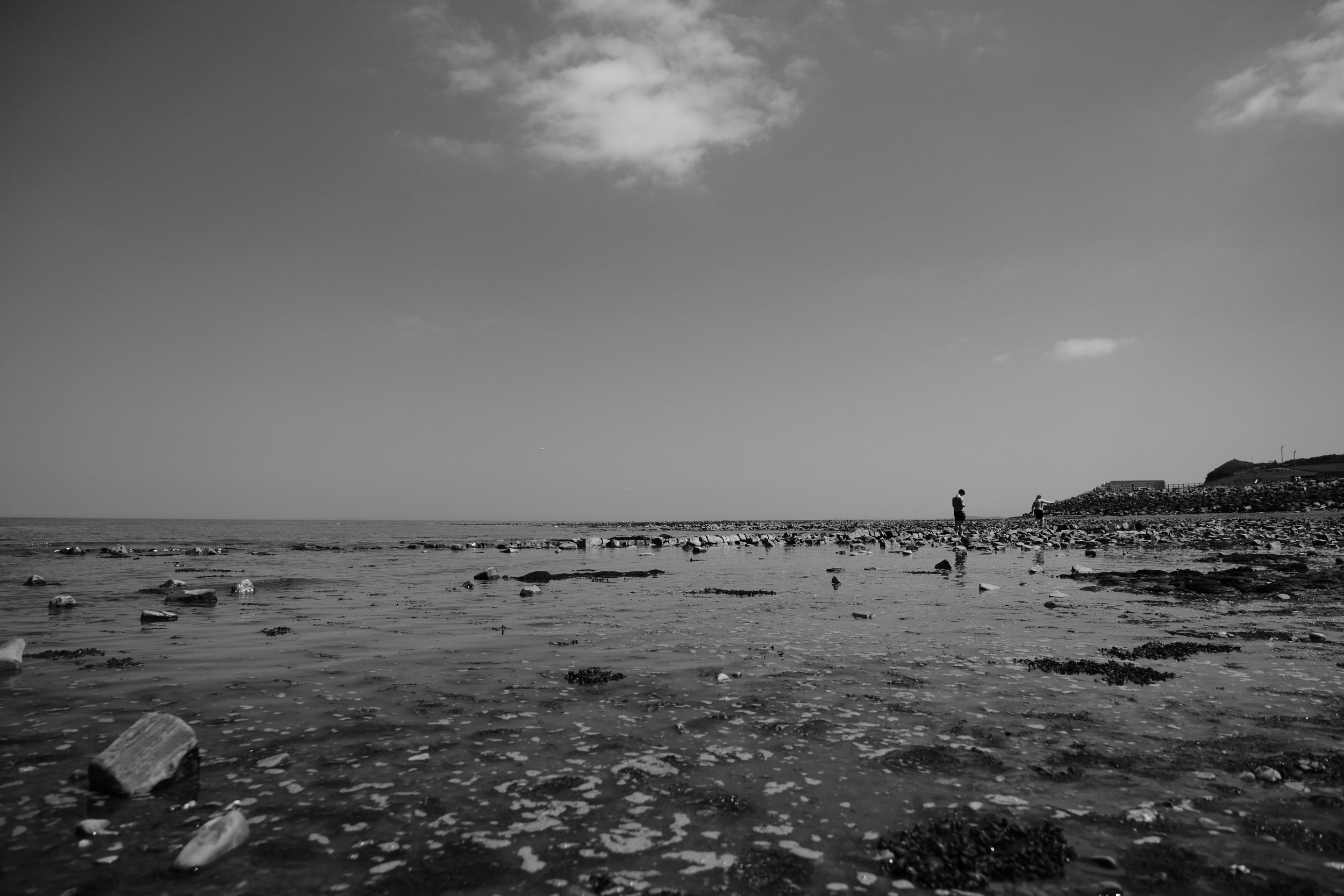 DSCF0396.JPG