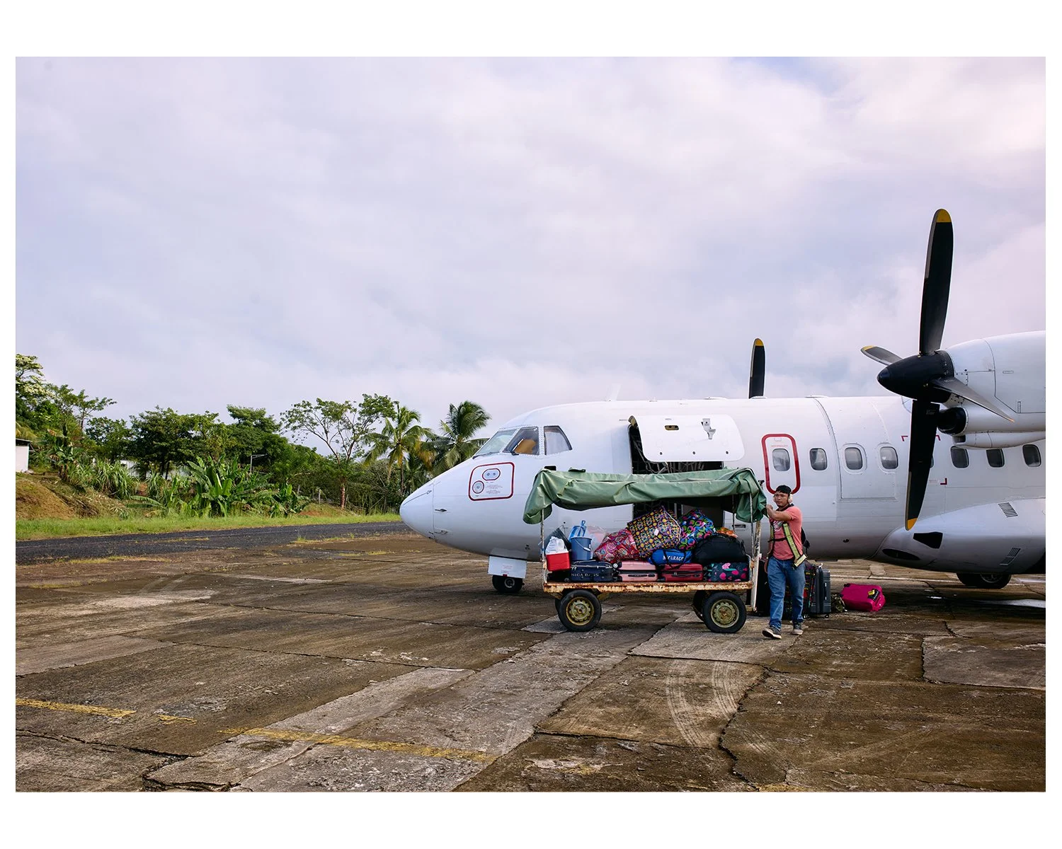 Person loading luggage onto a small airplane's cargo cart on a tarmac, with trees and a cloudy sky in the background  by Matt Ellis