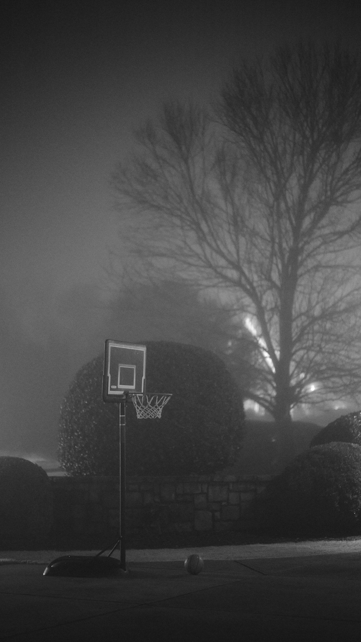 Outdoor basketball hoop and ball on court at night with misty atmosphere, leafless trees in the background.