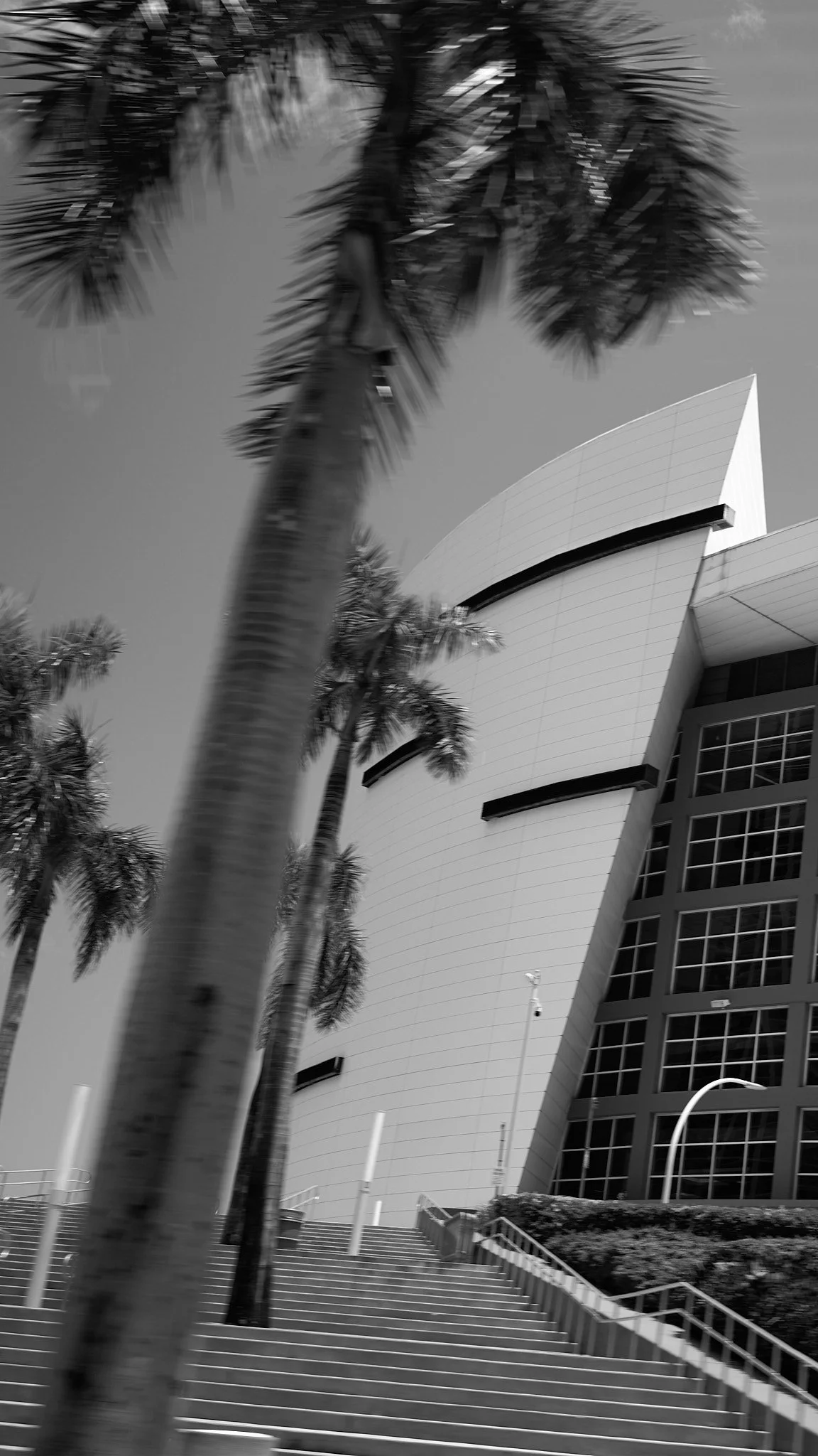 A modern building with curved white walls and large glass windows, surrounded by tall palm trees, under a clear sky.