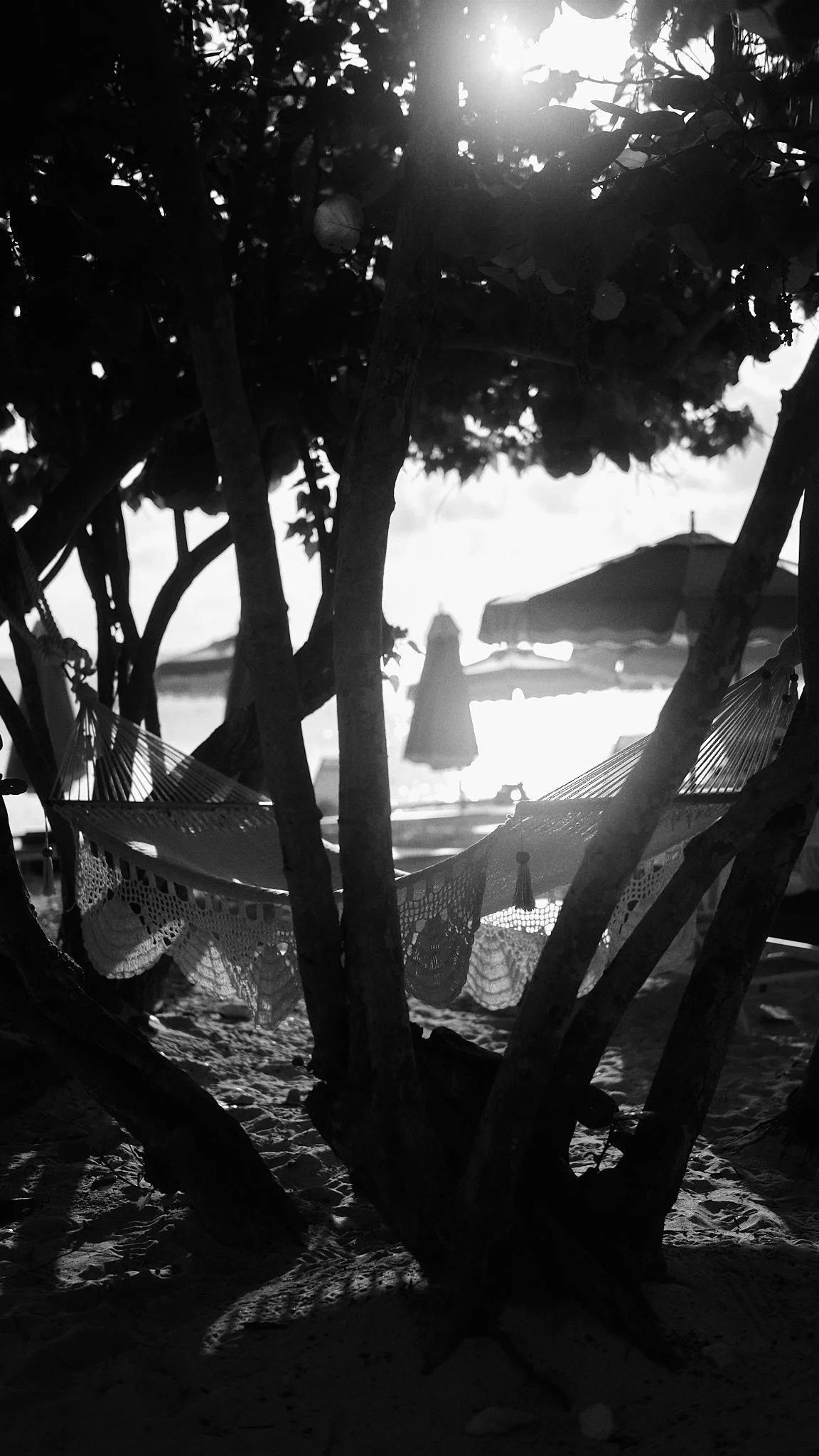 A hammock hanging between trees on a beach, with umbrellas and the ocean in the background, captured during sunset or sunrise.