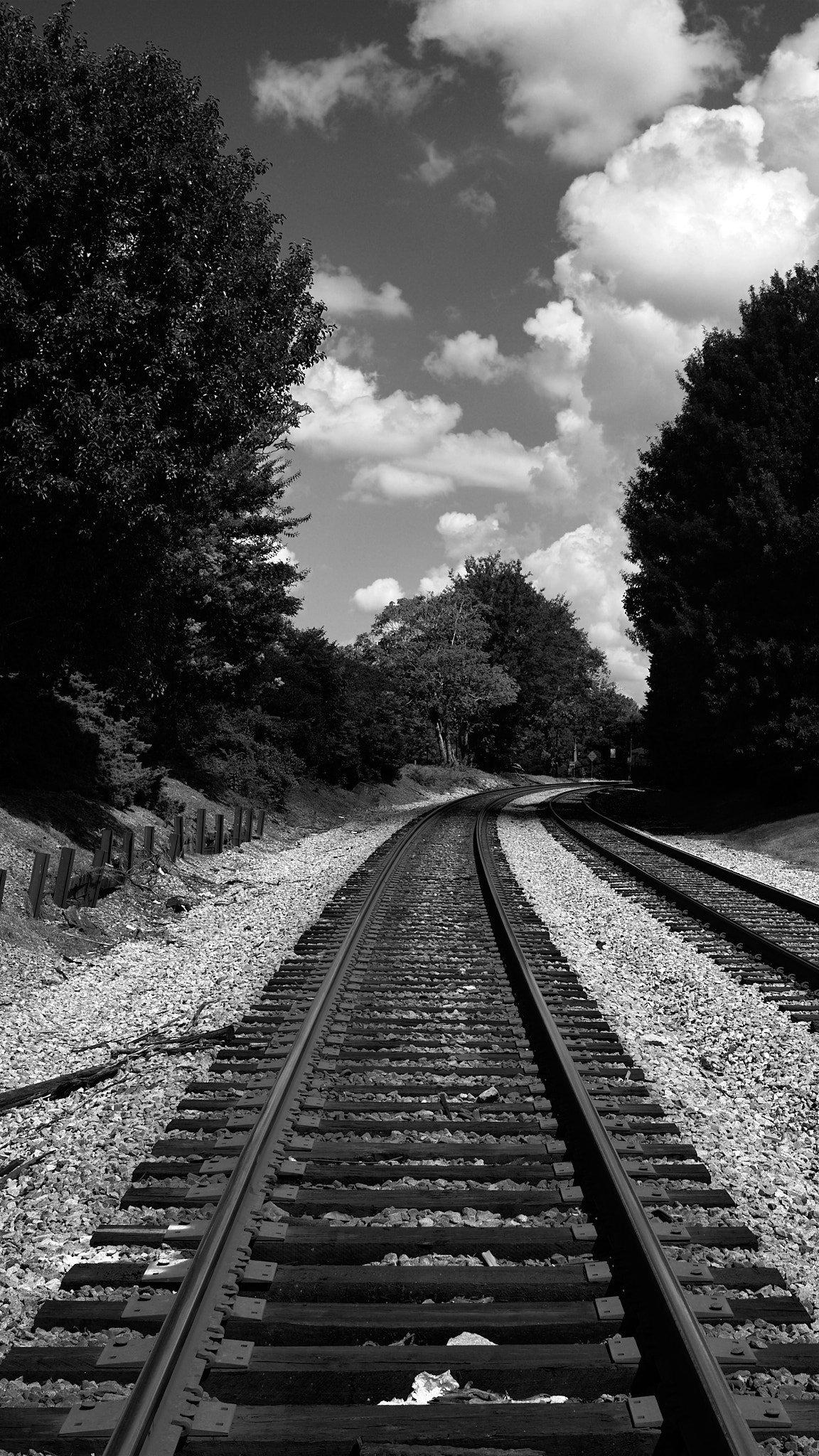 Black and white photo of railroad tracks curving through a wooded landscape with trees on both sides and clouds in the sky.