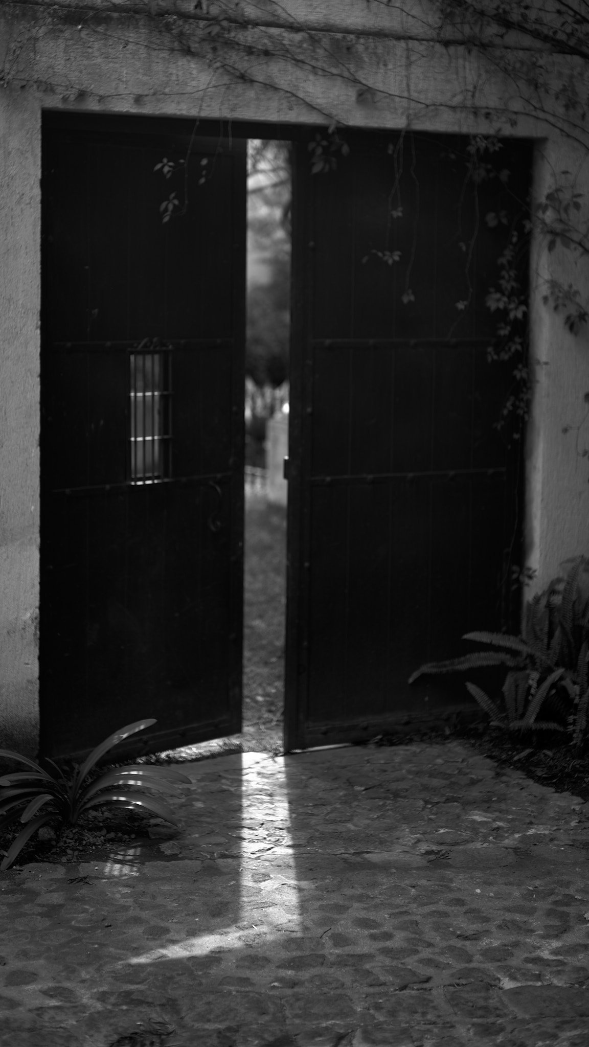 A black and white photo of an open door with wrought iron window bars, revealing a garden or outdoor space with blurred trees and plants.
