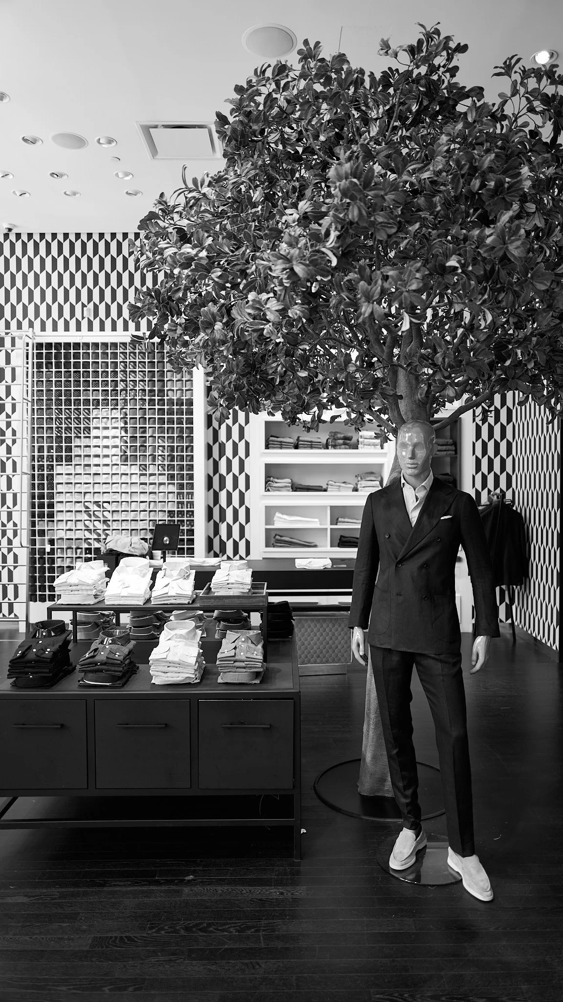 Black-and-white photo of an interior clothing store with a mannequin dressed in a suit, standing under a large artificial tree. The store has patterned wallpaper, shelves with folded clothes, and a display table with neatly arranged clothing items.