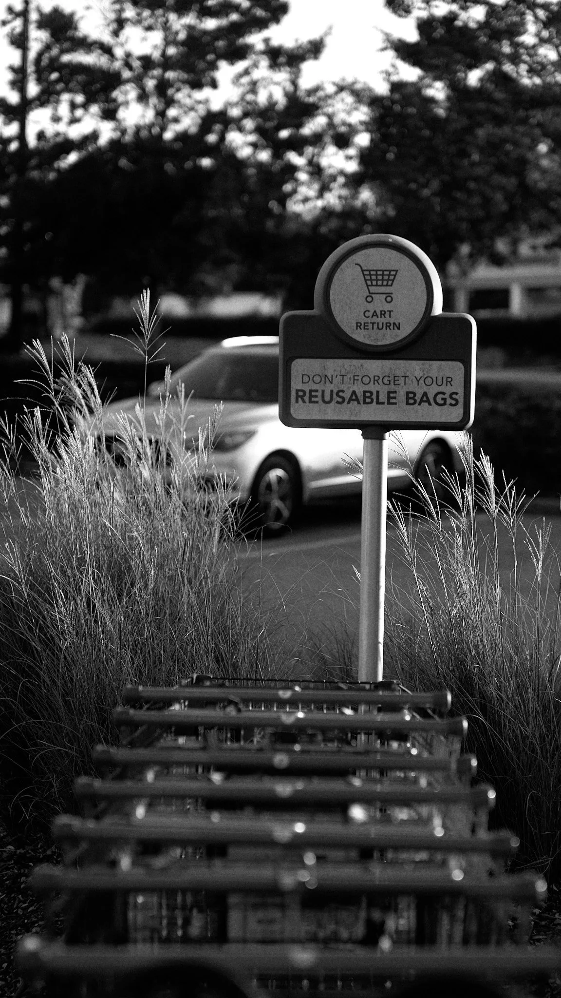Sign in a parking lot reminding shoppers not to forget reusable bags, with a cart return symbol and a line of empty shopping carts in the foreground.