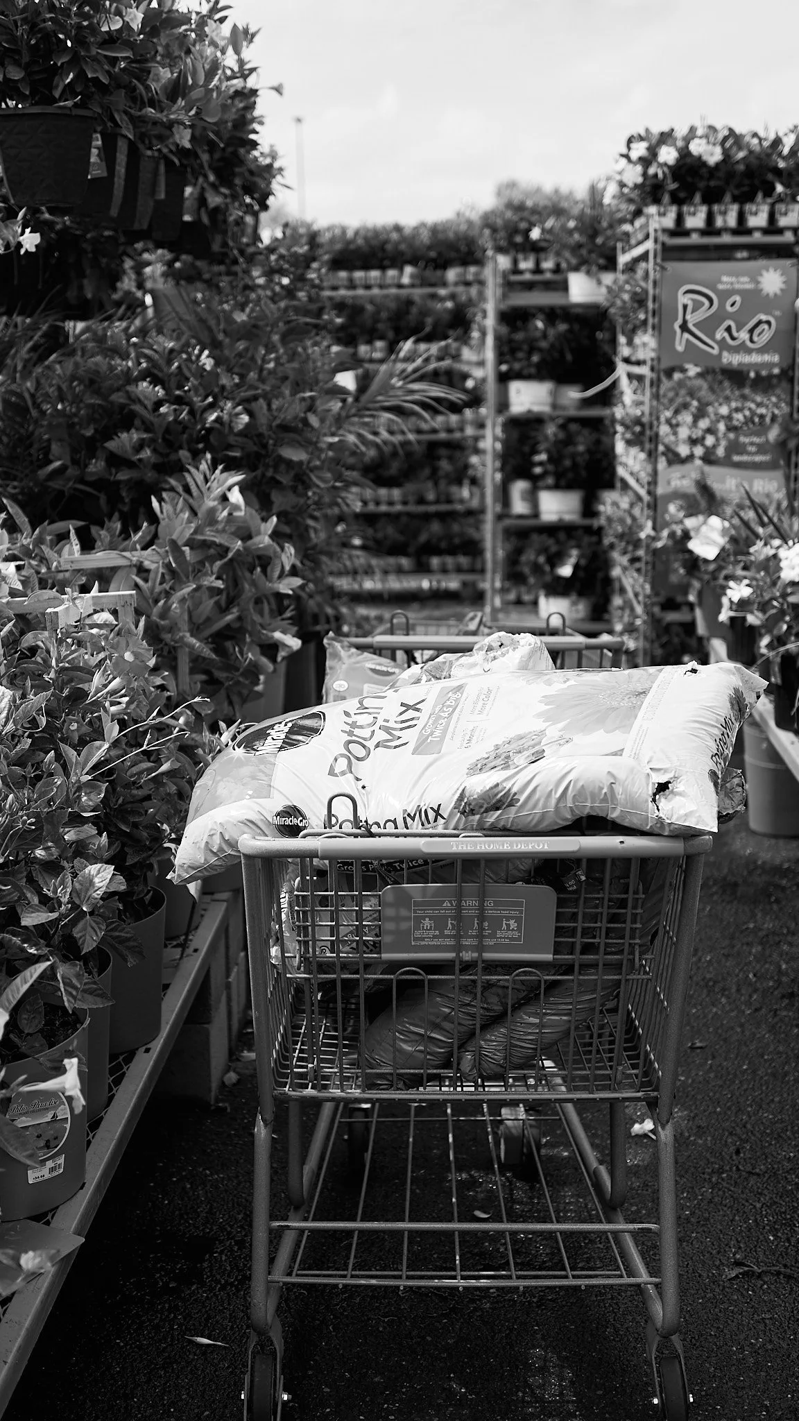 A shopping cart in an aisle at a garden center with bags of potting soil, surrounded by plants on both sides, and a sign reading 'Rio' in the background.