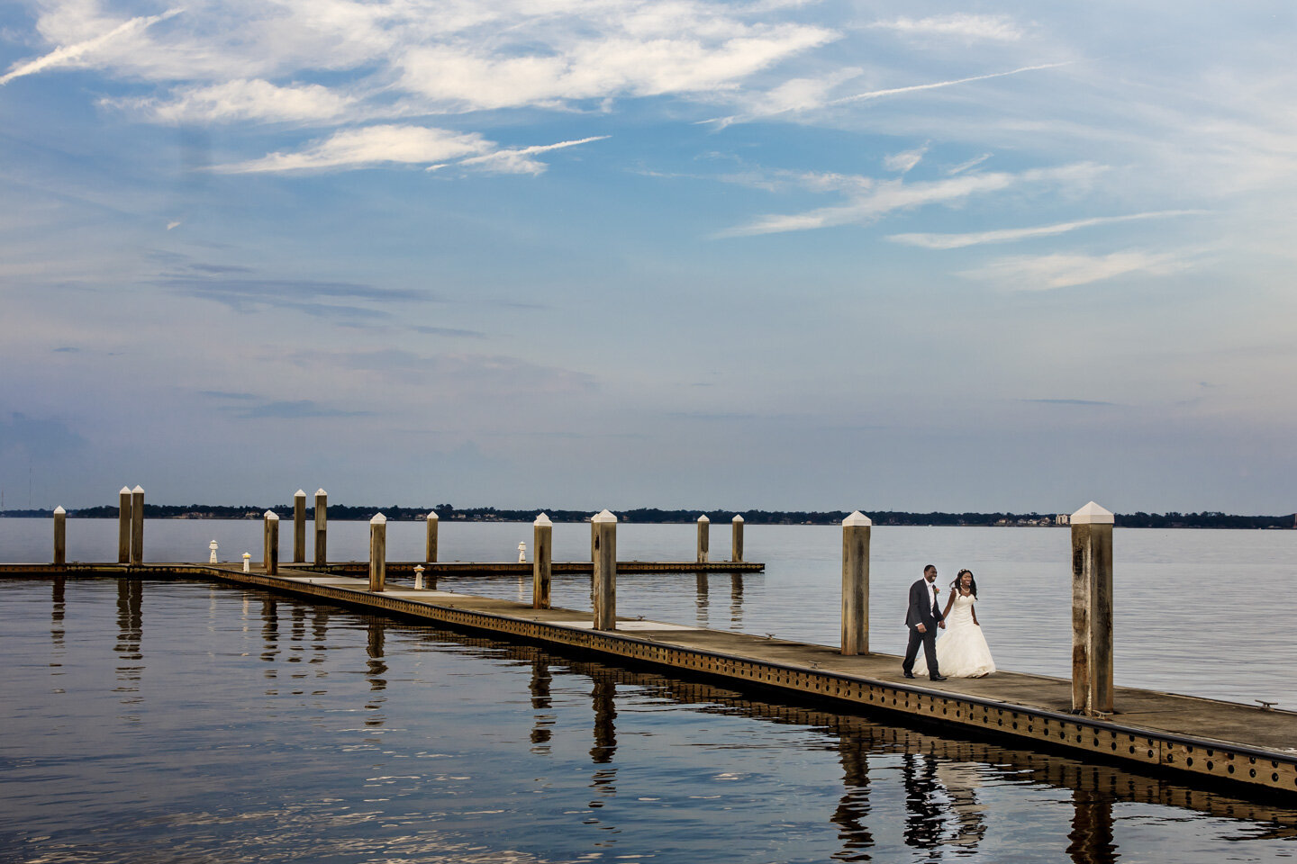 Wedding Portrait at Luxury Jacksonville Florida Wedding  (Copy)