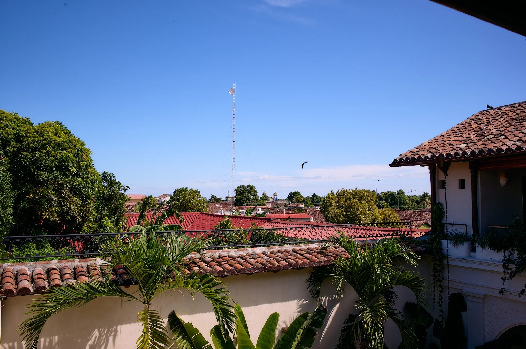 View of rooftops with red tiles and lush green trees against a clear blue sky, with a tall antenna tower in the distance.