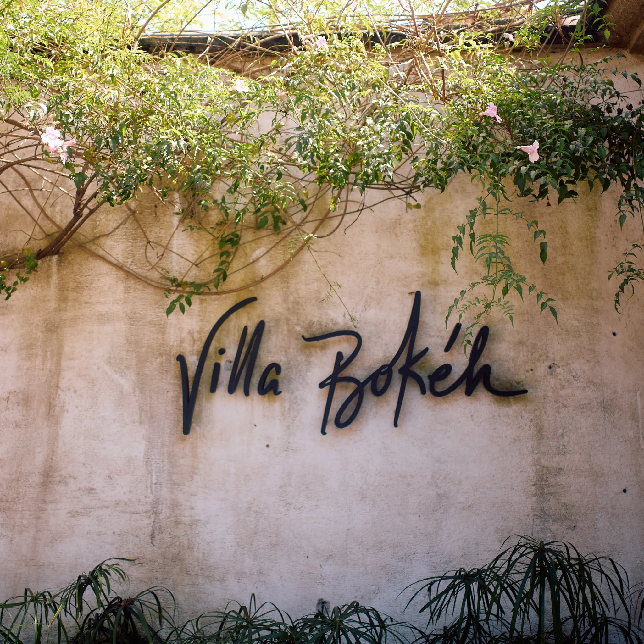 A wall with the handwritten sign 'Villa Bokéh' and green plants hanging and growing above and below the sign.