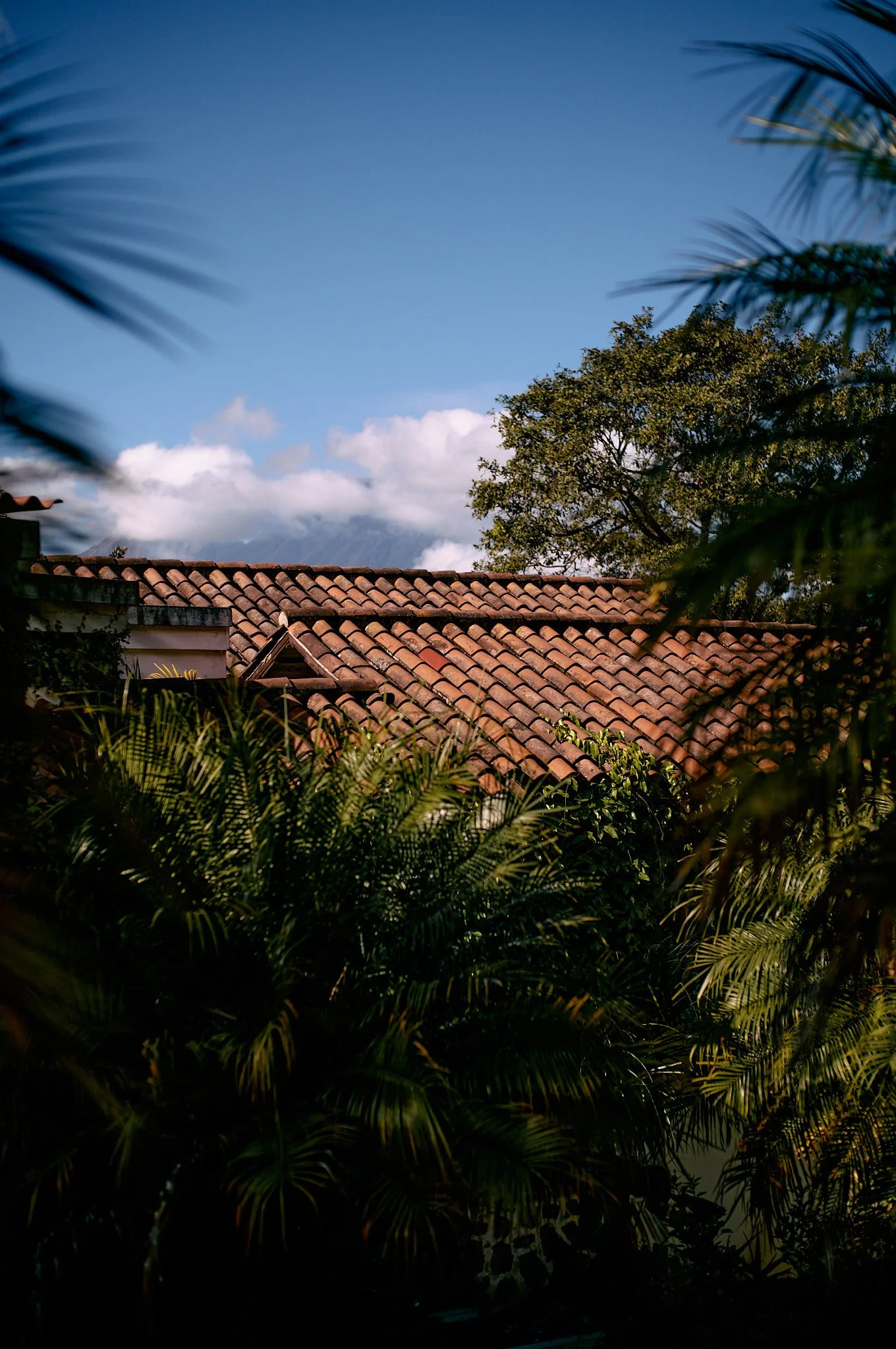 Tiled roof partially visible above lush green foliage with trees and a blue sky with clouds in the background.