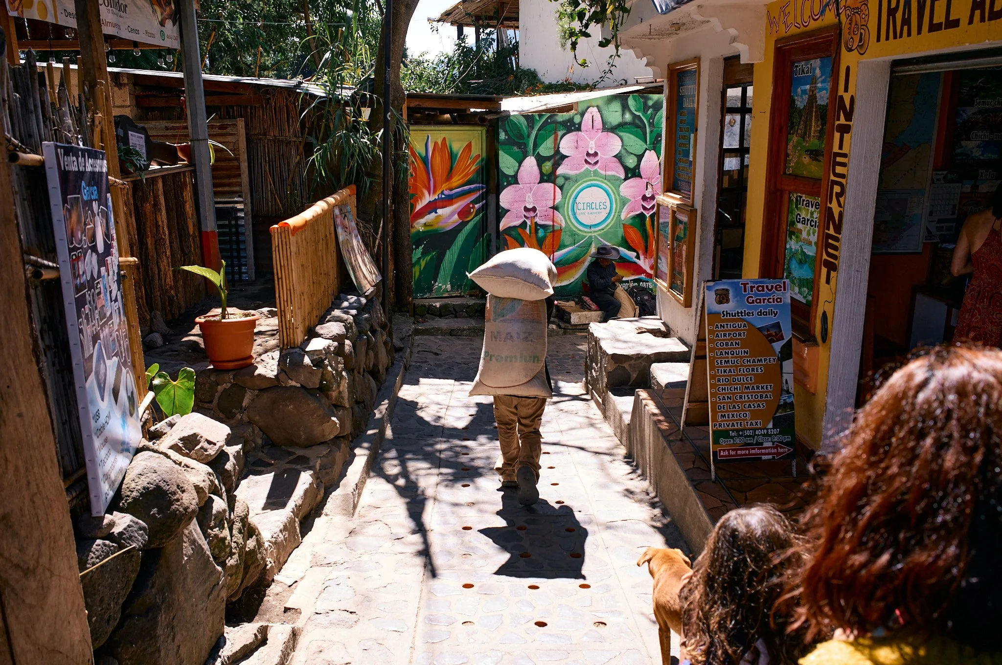 A narrow outdoor street scene with a person walking away, carrying a large bag on their head. The street is lined with colorful painted walls, signs in Spanish, and advertising material. There are a couple of dogs and a woman with curly hair in the f