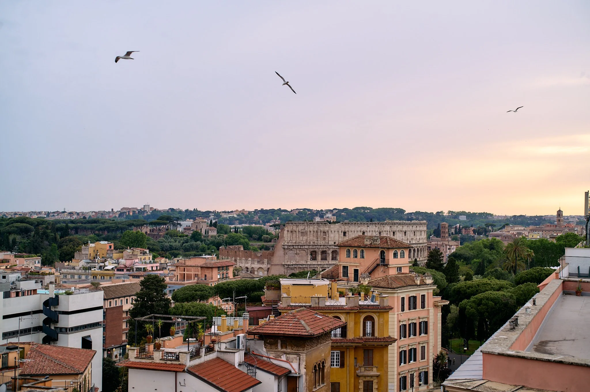 View of Rome cityscape with ancient Roman ruins, colorful buildings, and green trees, under a partly cloudy sky with three seagulls flying.