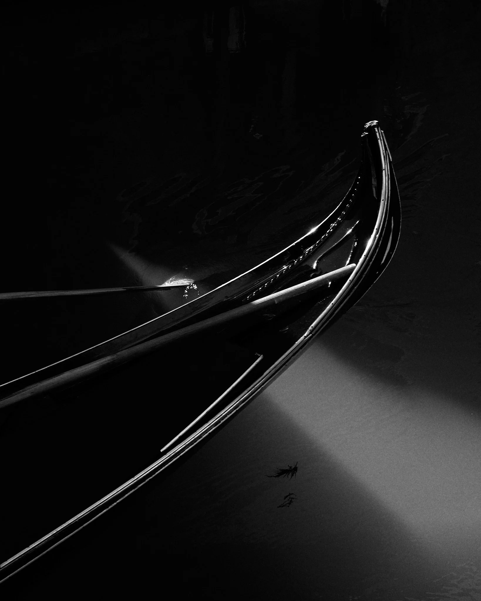 Close-up of a boat's bow with a shiny surface, reflecting light, along with a small plant or debris floating in the water next to it.