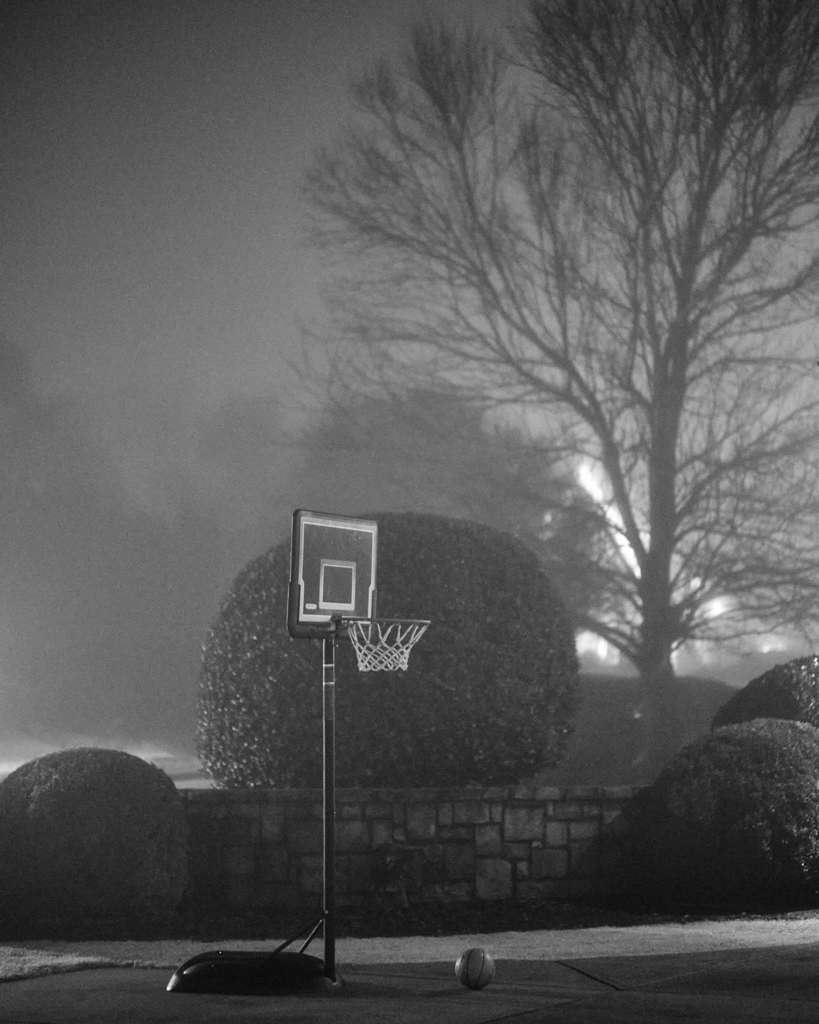 A basketball hoop on a stand with a basketball on the ground nearby, set outdoors at dusk or nighttime, with a large leafless tree and bushes in the background, in black and white.