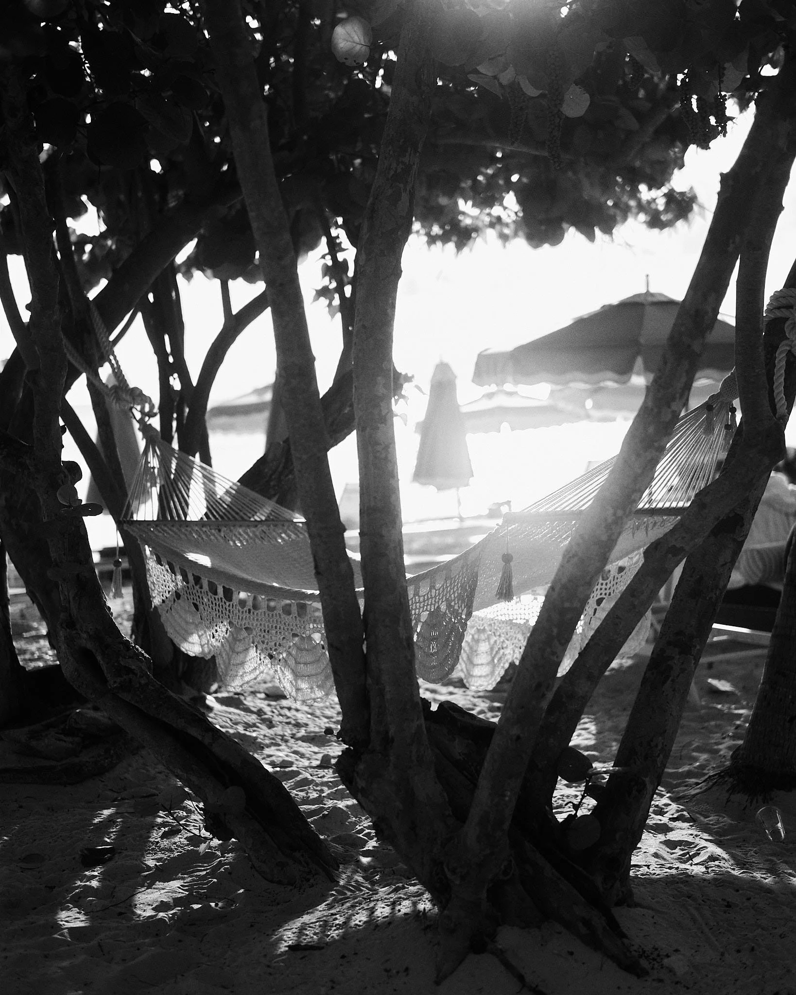 A black and white photo of a beach scene viewed through trees with a hammock hanging between the branches, a beach umbrella, and lounge chairs in the background.