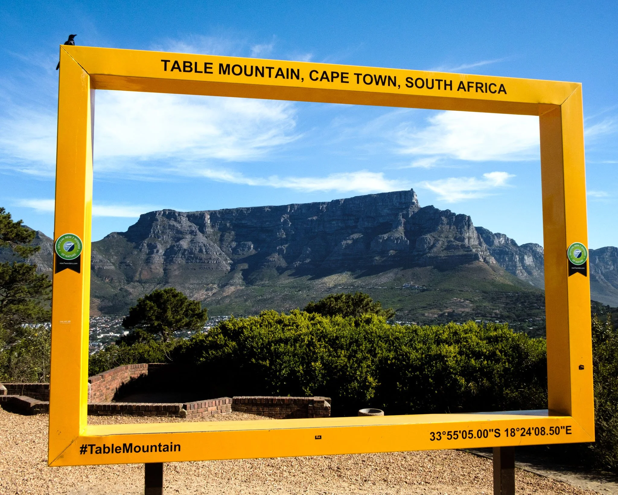 Yellow frame with black text indicating location at Table Mountain, Cape Town, South Africa; mountains in the background under partly cloudy sky; a small black bird perched on the top left corner of the frame.