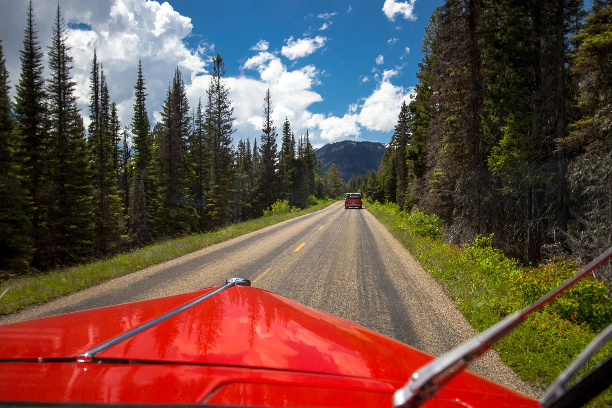View from a red vehicle traveling on a two-lane highway surrounded by tall pine trees, with a blue sky and clouds overhead and distant mountains in the background.