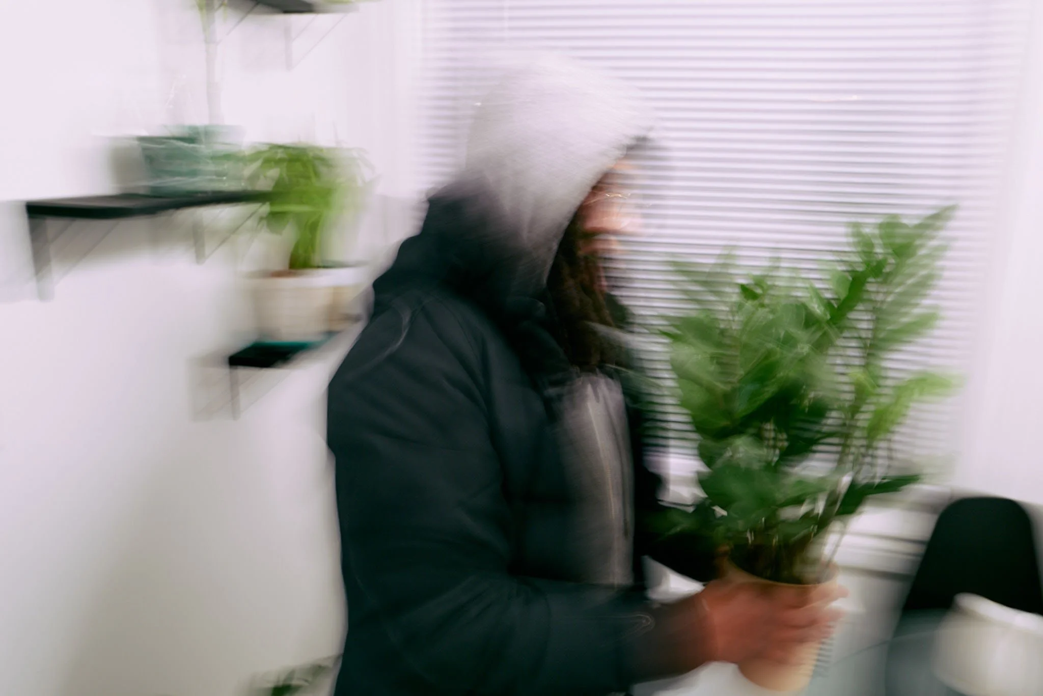 A person in a black jacket and gray hoodie holding a potted green plant in a room with white walls, shelves, and window blinds.