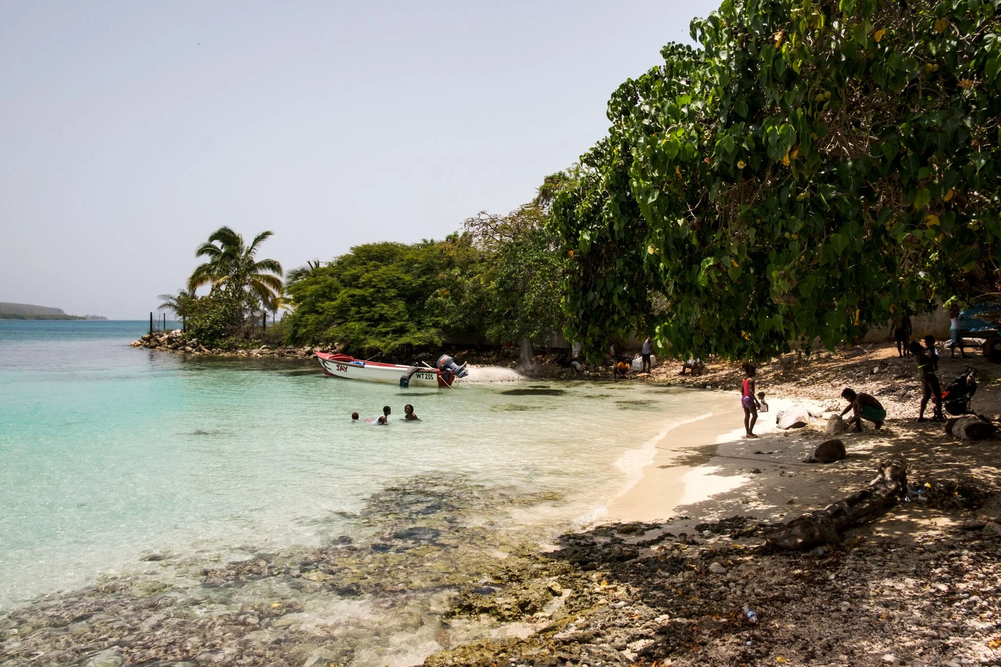 A tropical beach scene with green trees and bushes, clear turquoise water, a small boat on the water, and people swimming and relaxing on the sandy shore.