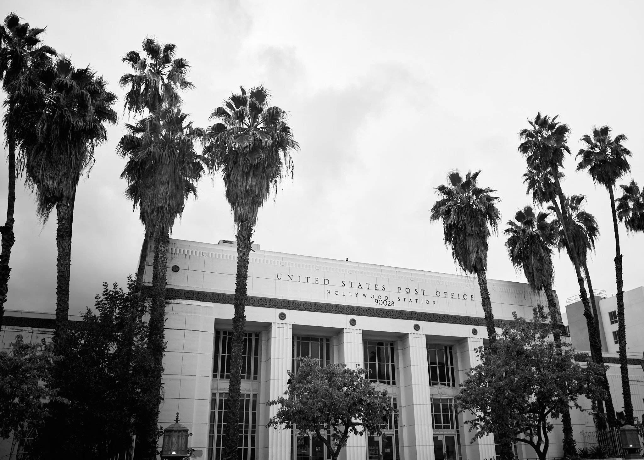 Black and white photograph of the United States Post Office at Hollywood Station, surrounded by tall palm trees and some smaller trees in front.