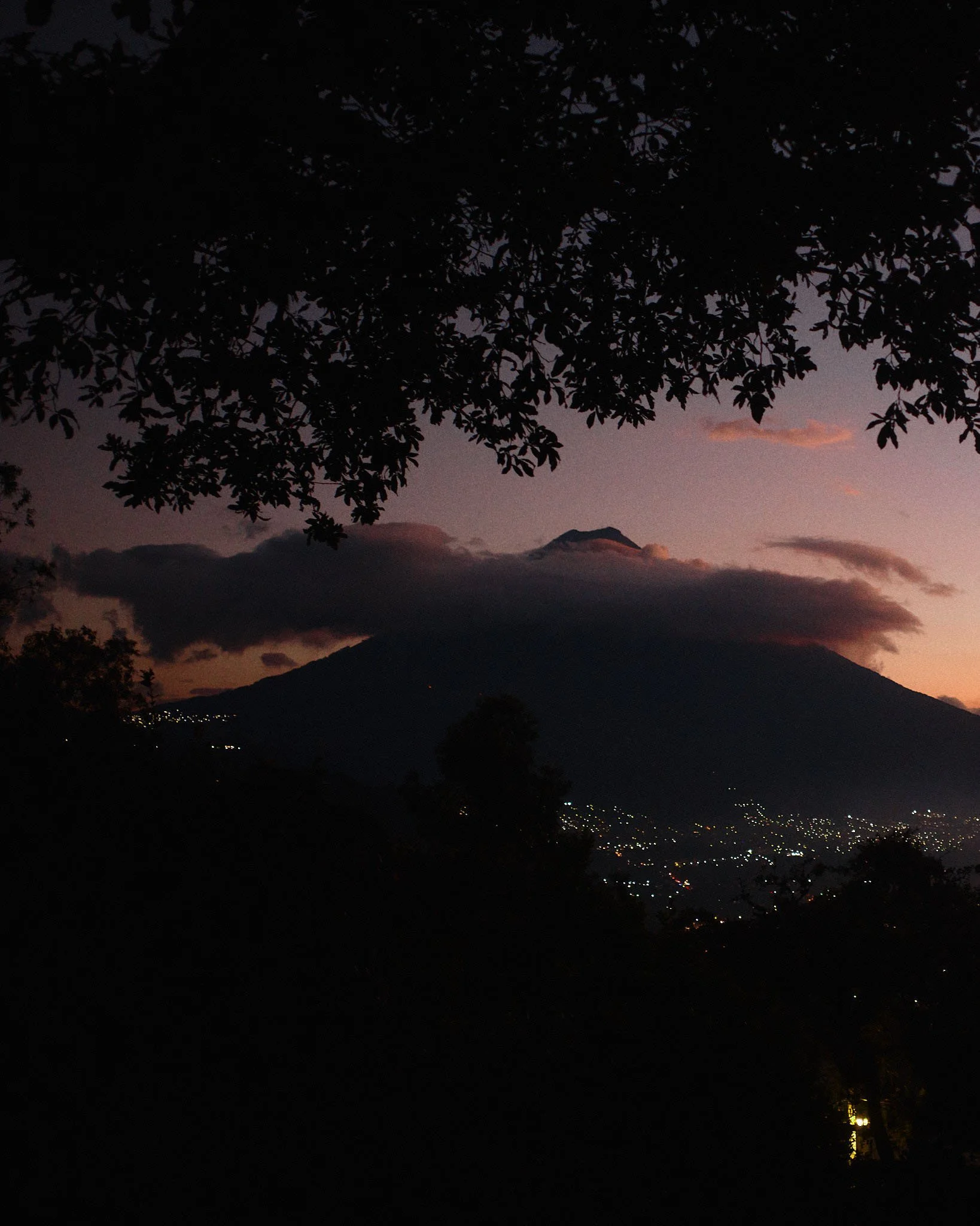 A dark silhouette of a mountain with clouds around the peak, viewed during sunset or dusk through tree branches and leaves in the foreground, with city lights visible in the distance.