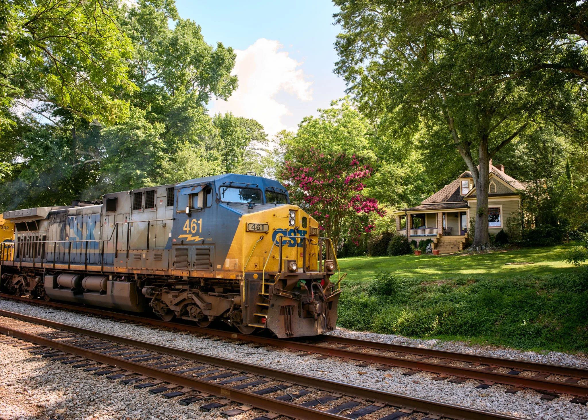 A blue and yellow train moving along a railway track through a green suburban neighborhood with a house, trees, and pink flowering bushes in the background.