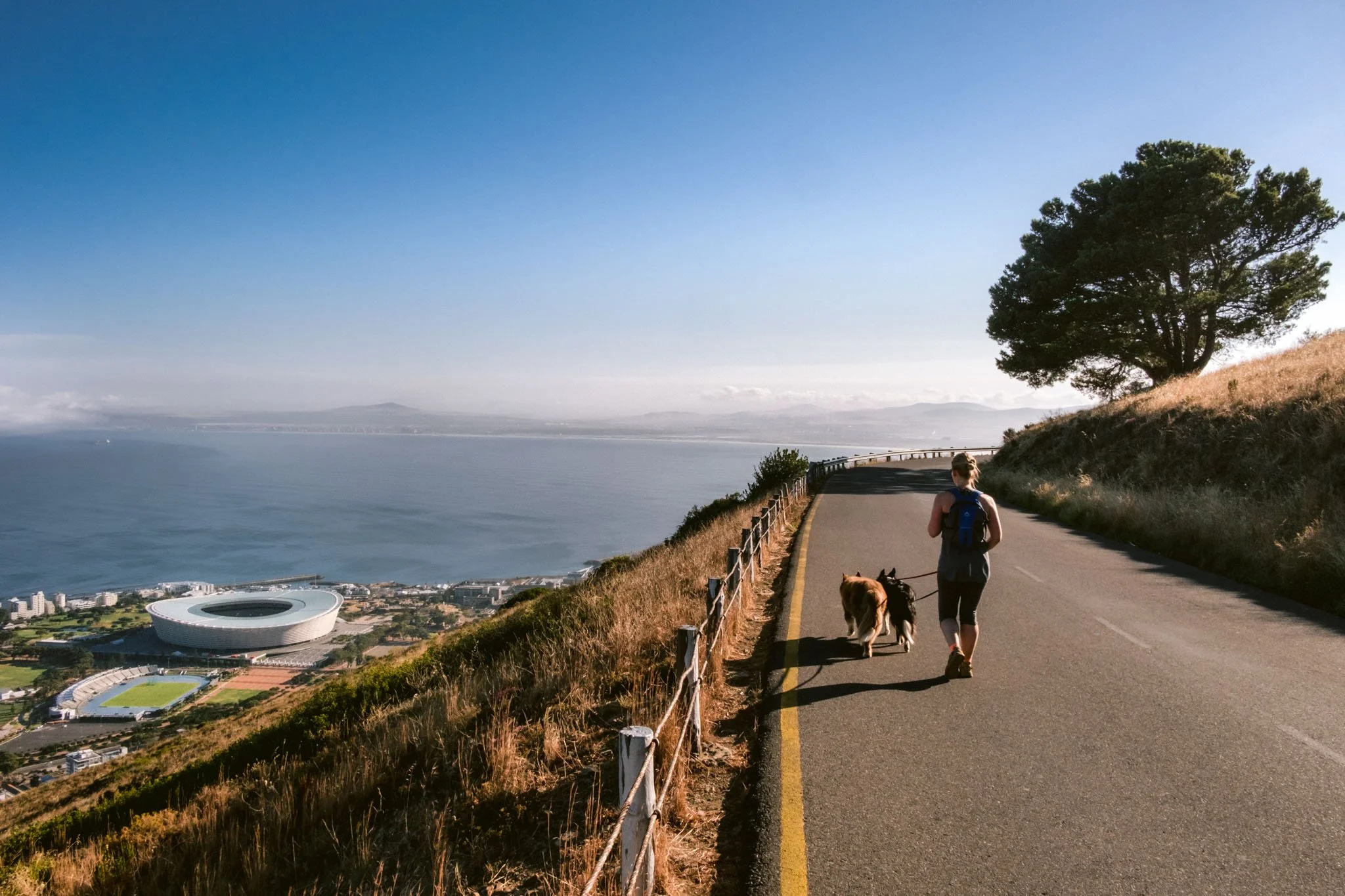 A woman walking her two dogs along a coastal path with a scenic view of the ocean, a stadium, and a cityscape in the background on a sunny day.