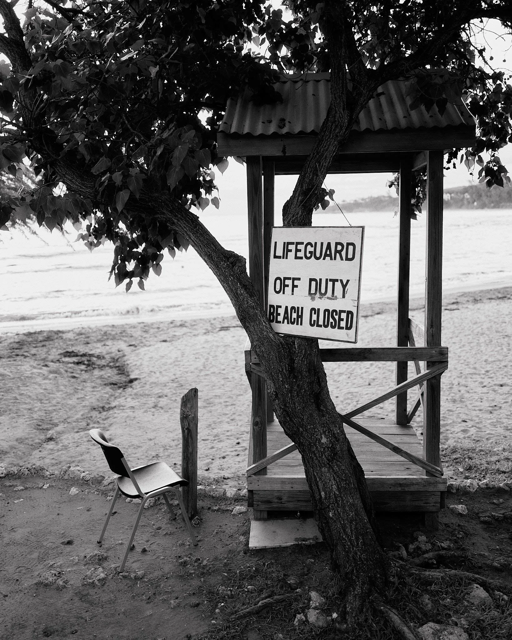 A black and white photograph of a beach with a lifeguard stand partially obscured by a tree with broad leaves, and a sign that reads 'LIFEGUARD OFF DUTY BEACH CLOSED' hanging from the tree.
