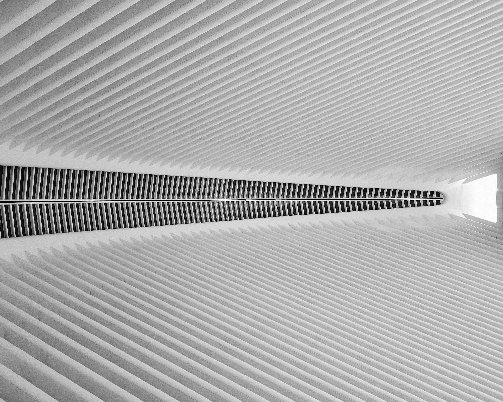 Interior view of a modern architectural building with curved, ribbed white walls and a central black and white lattice structure running vertically through the space.