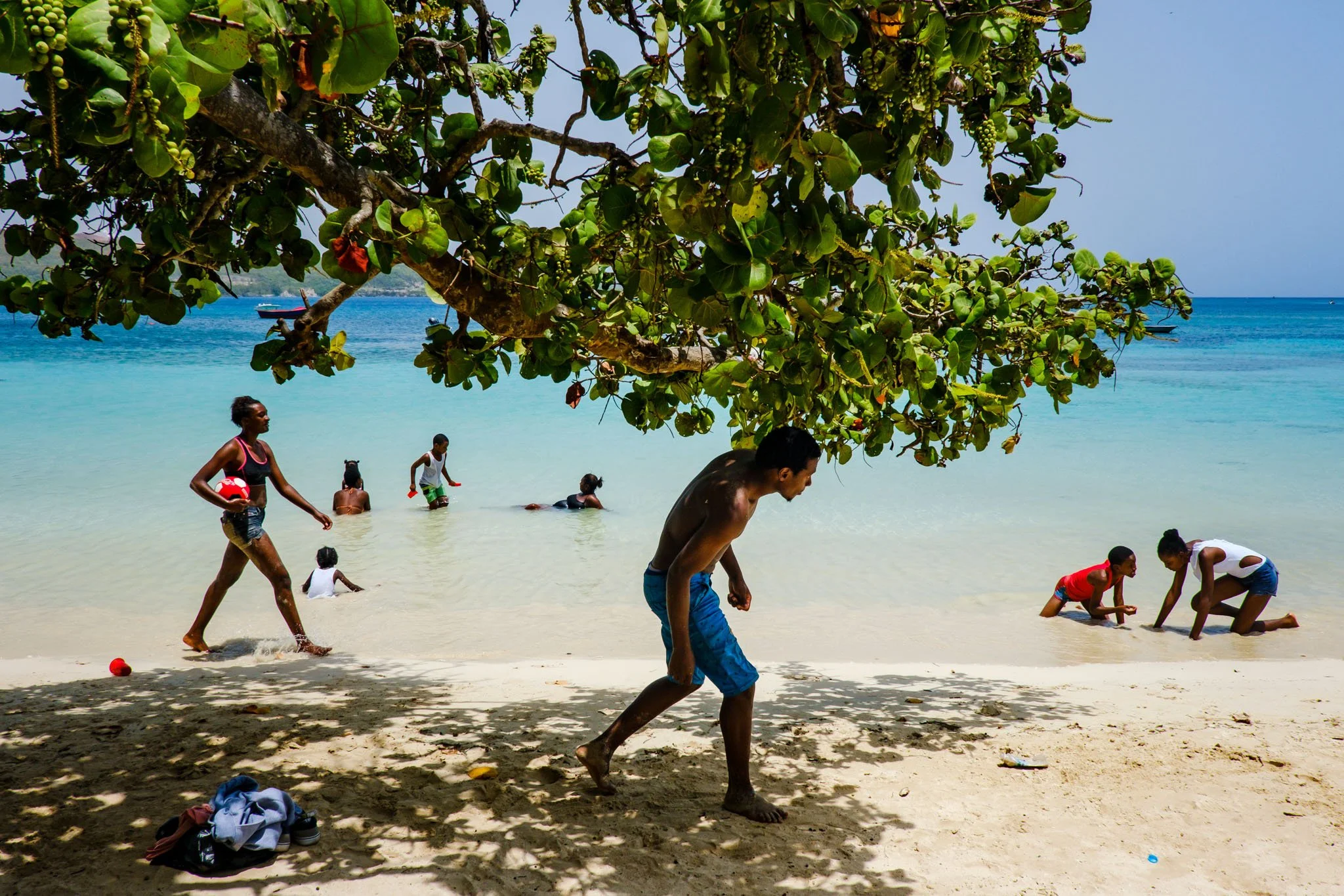 People enjoying a day at the beach under a tree with turquoise water and a clear sky in the background.