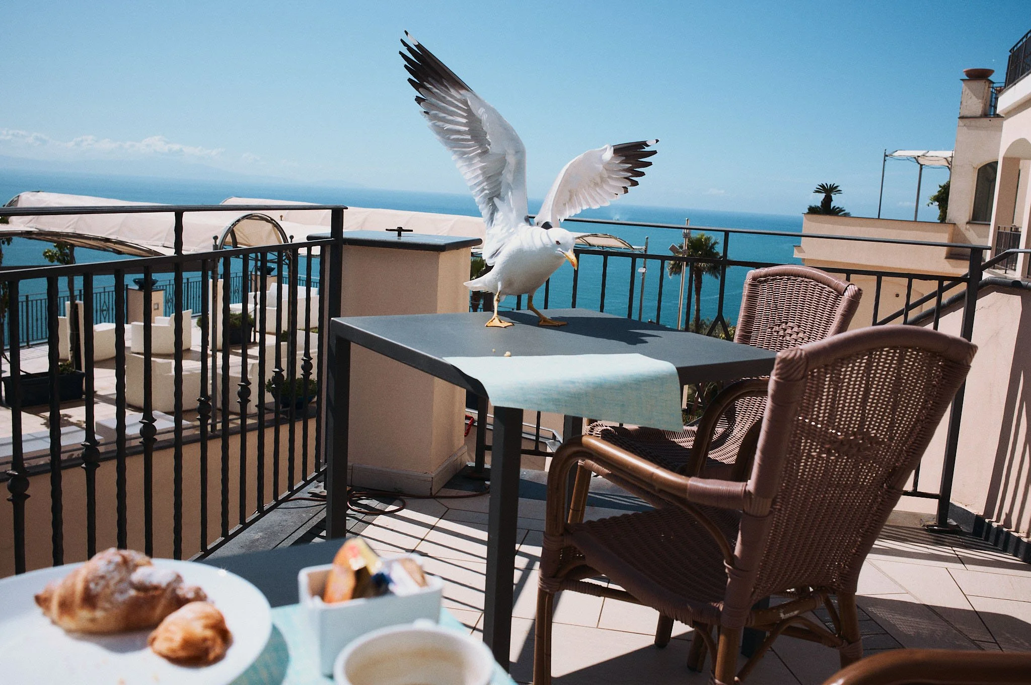 A seagull standing on a table with its wings spread, overlooking a balcony with ocean view. There are chairs, a tablecloth, and some food in the foreground.