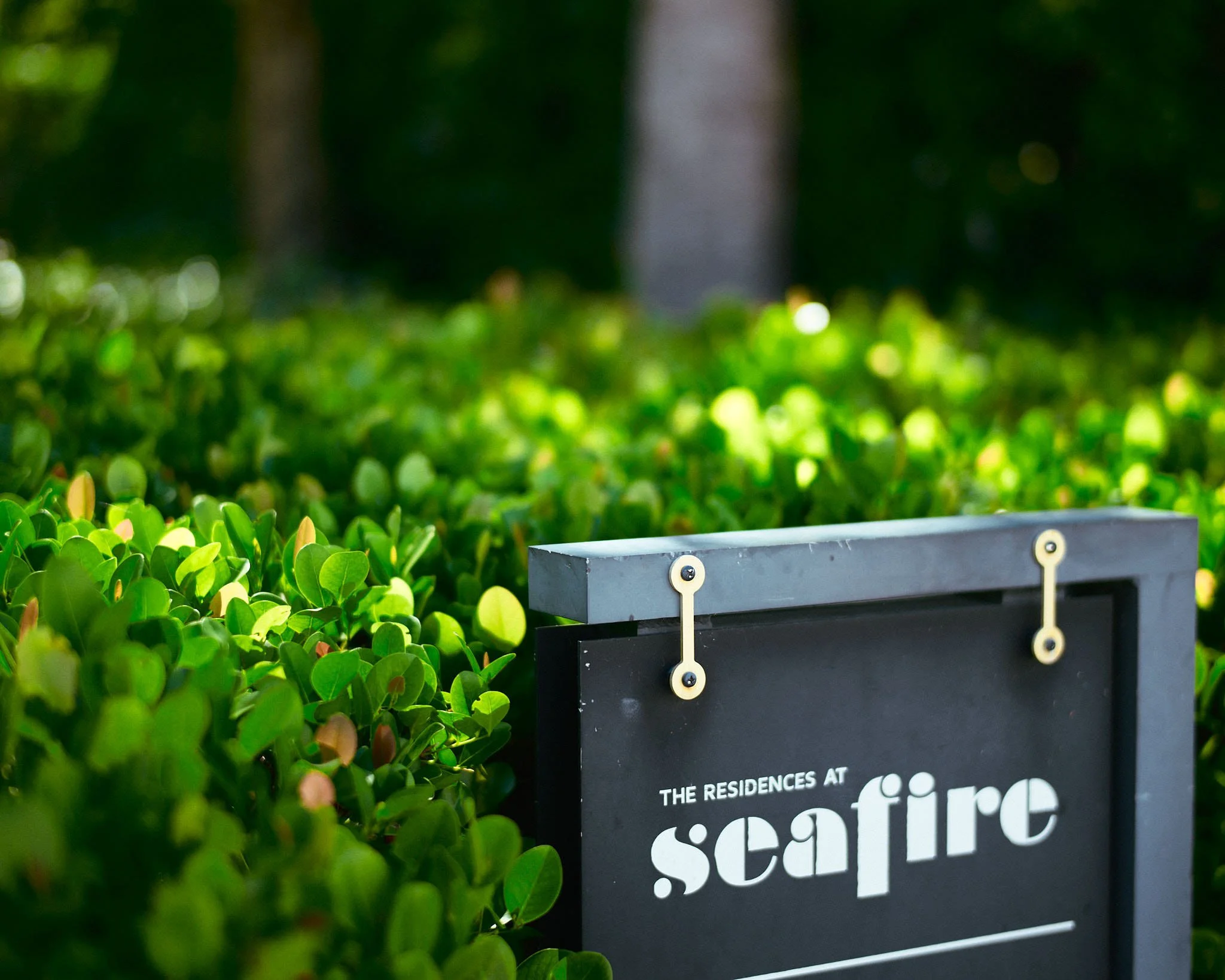 A black sign with white text reading "The Residences at Scafire" placed among green bushes, with trees in the background.