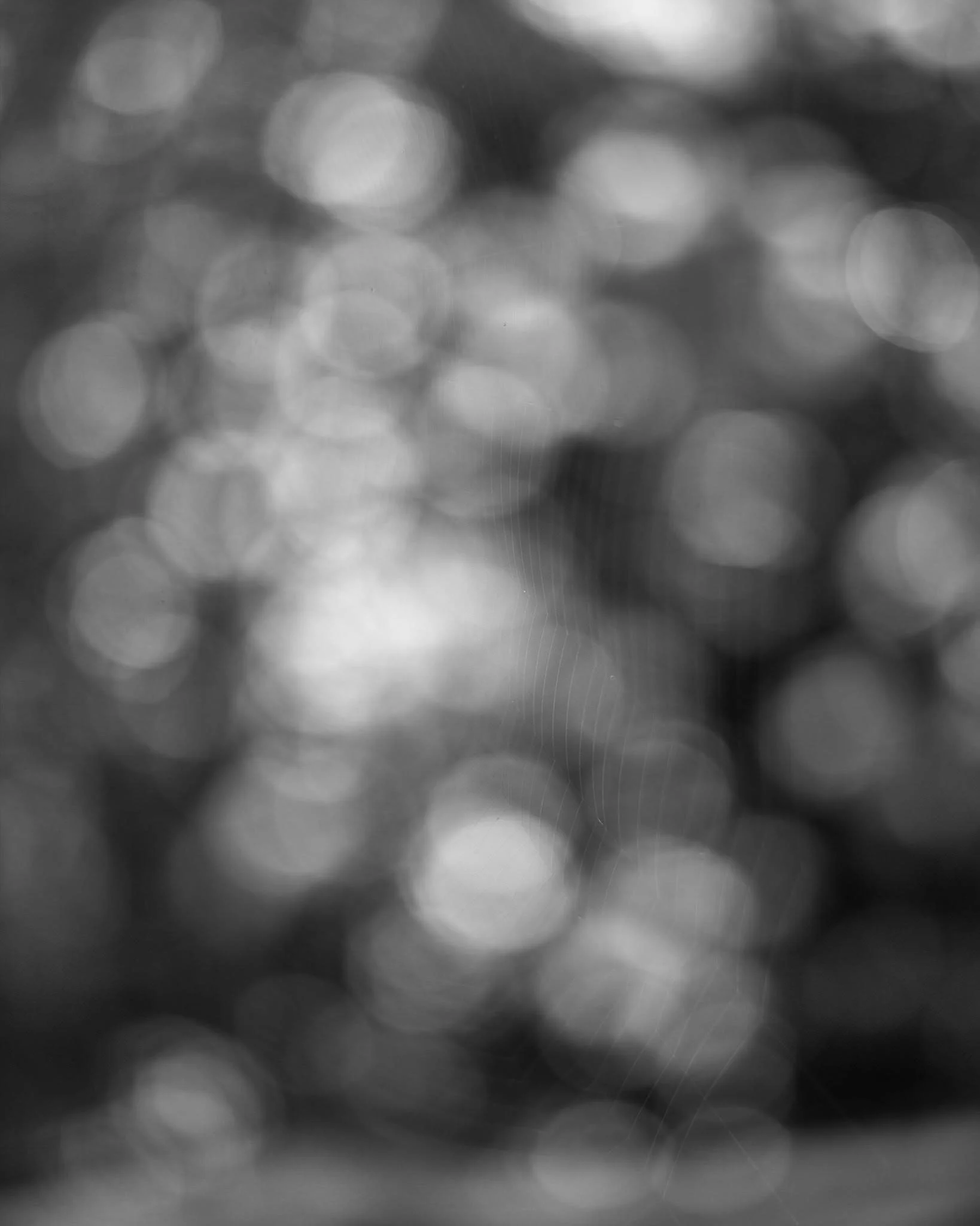 Blurred black and white abstract background with circular bokeh light effects and faint spider web strands.
