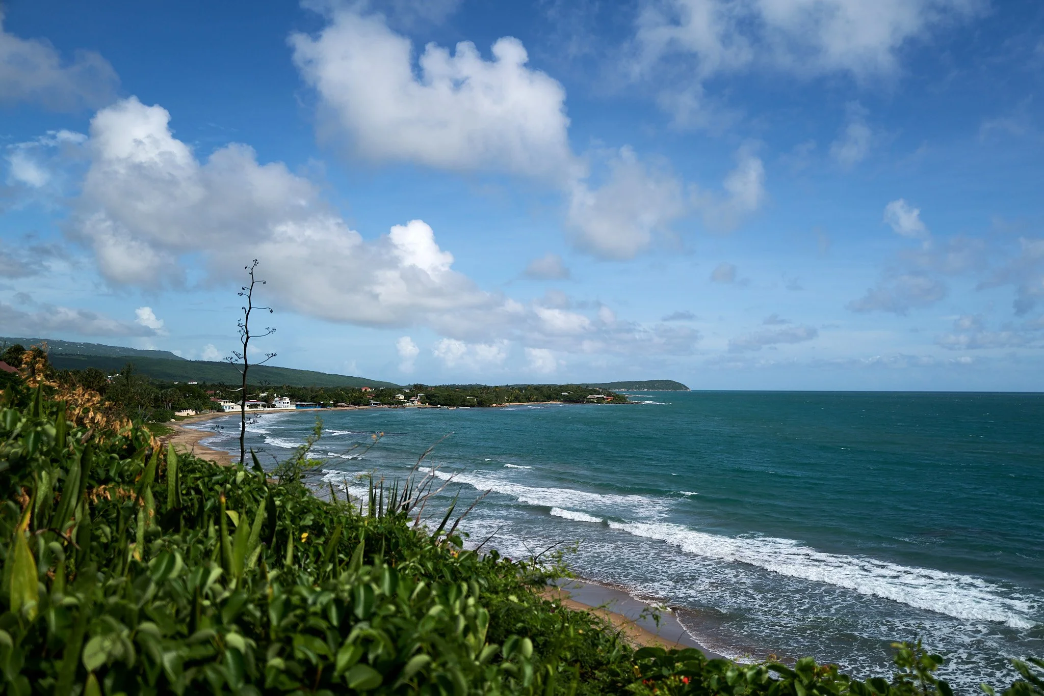Coastal view with green foliage in the foreground, a sandy beach with small waves, and a blue ocean under a partly cloudy sky.