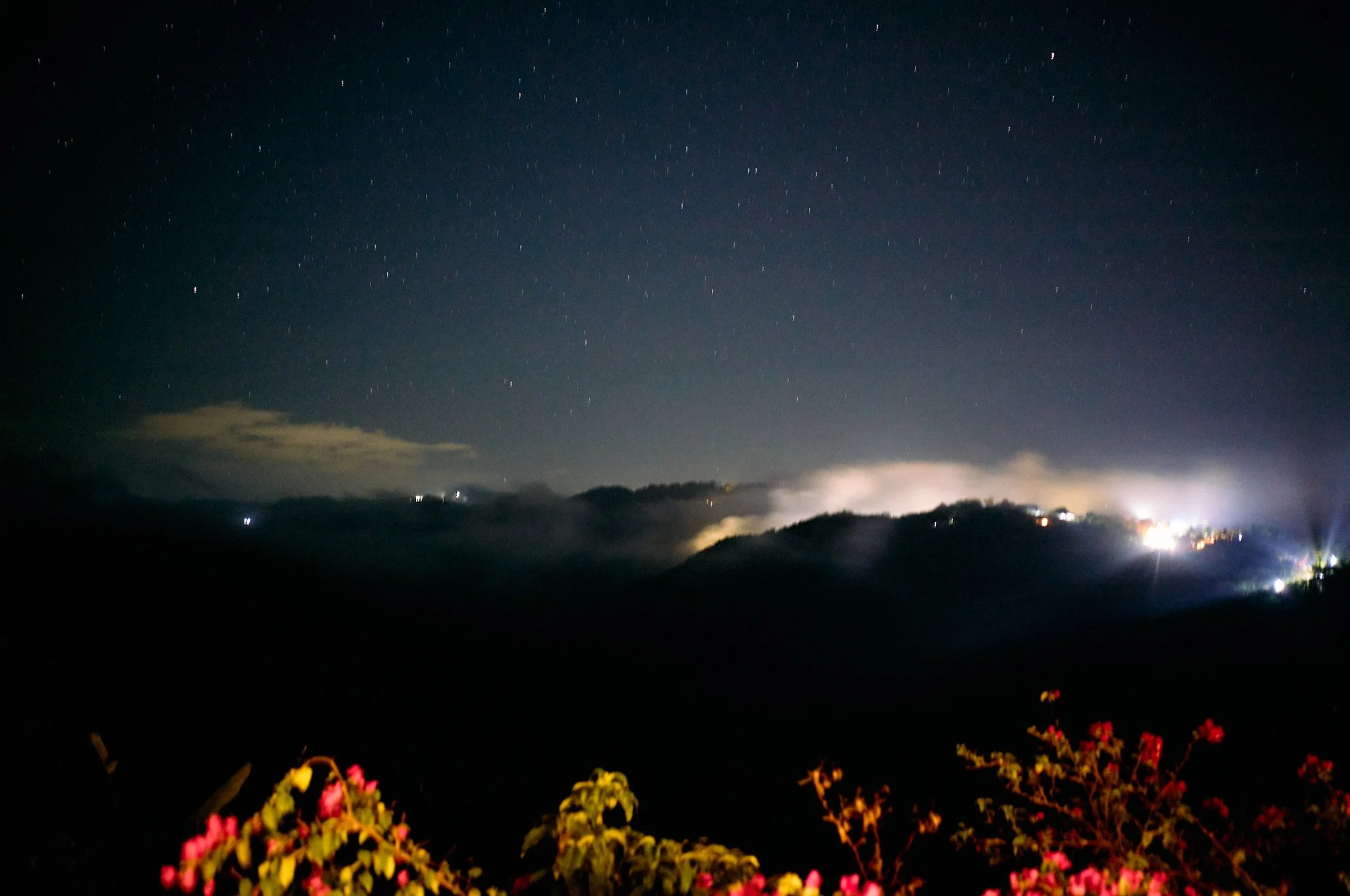 Nighttime landscape with a starry sky, hills with fog, and some lights in the distance. There are flowers at the bottom of the image. Montego Bay, Jamaica WI