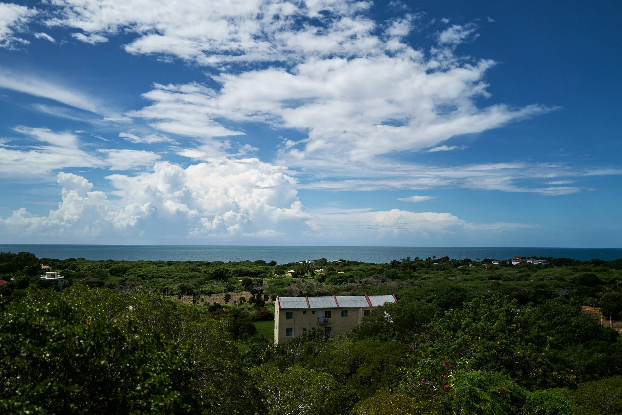A scenic view of lush green trees, a house with a metal roof, and an ocean in the distance under a partly cloudy sky in Treasure beach, Jamaica WI.
