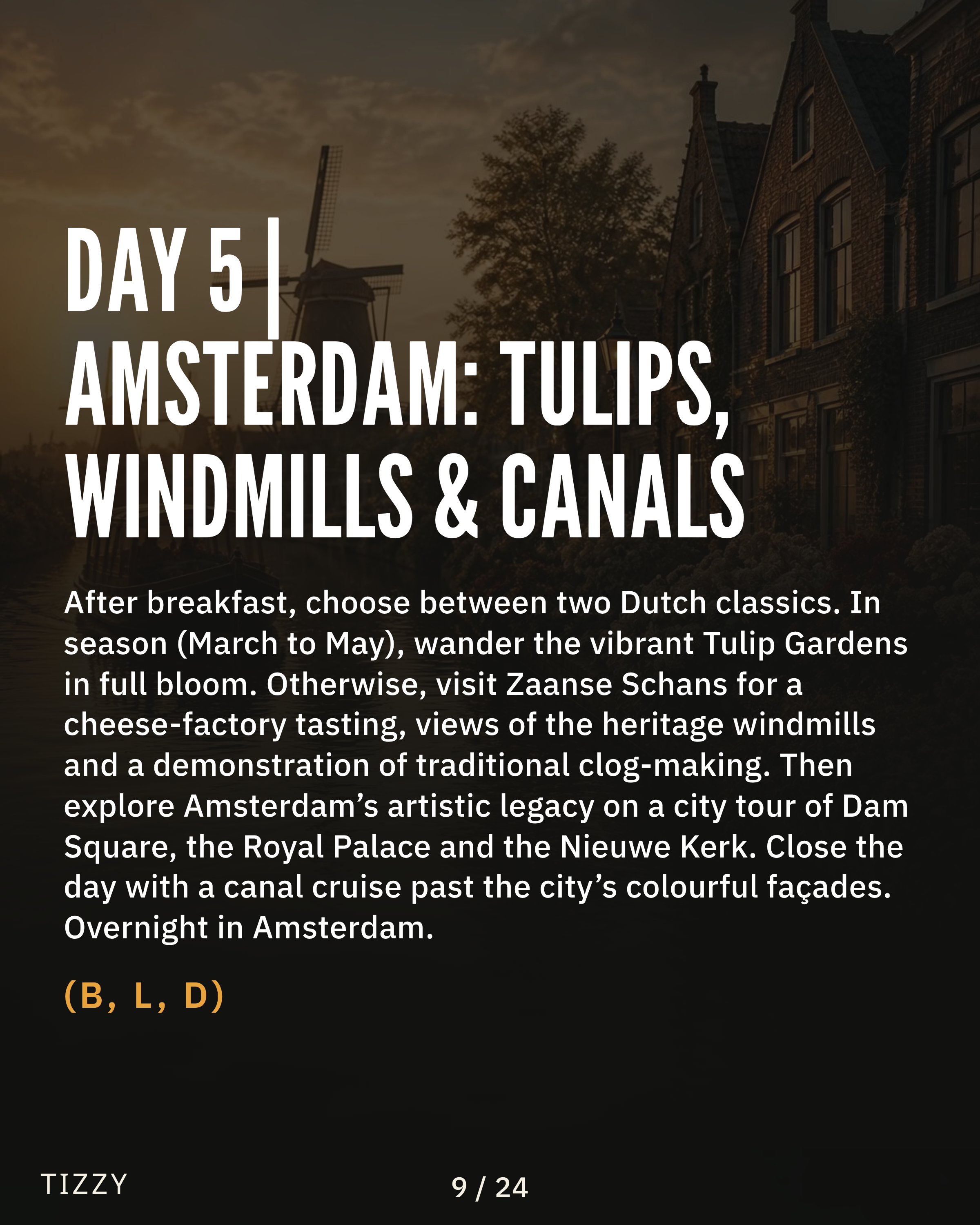 9_DAY-5-or-AMSTERDAM-TULIPS-WINDMILLS-and-CANALS.png