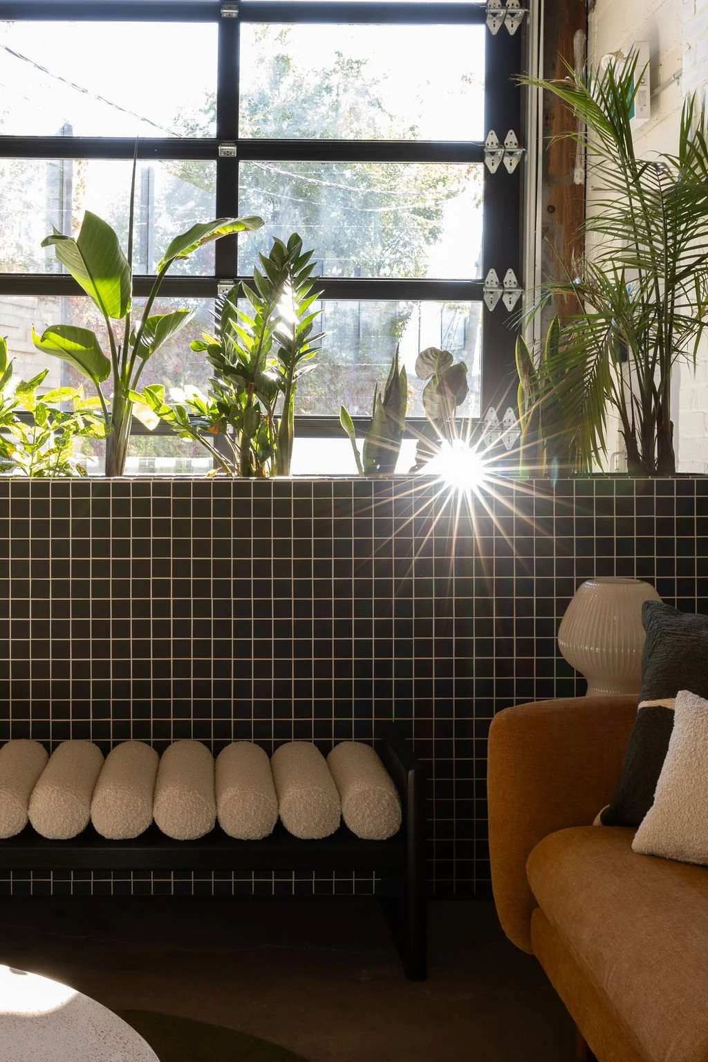 Sunlight filtering through tropical plants in a custom dark tiled planter, with a cushioned bench beneath an industrial window.