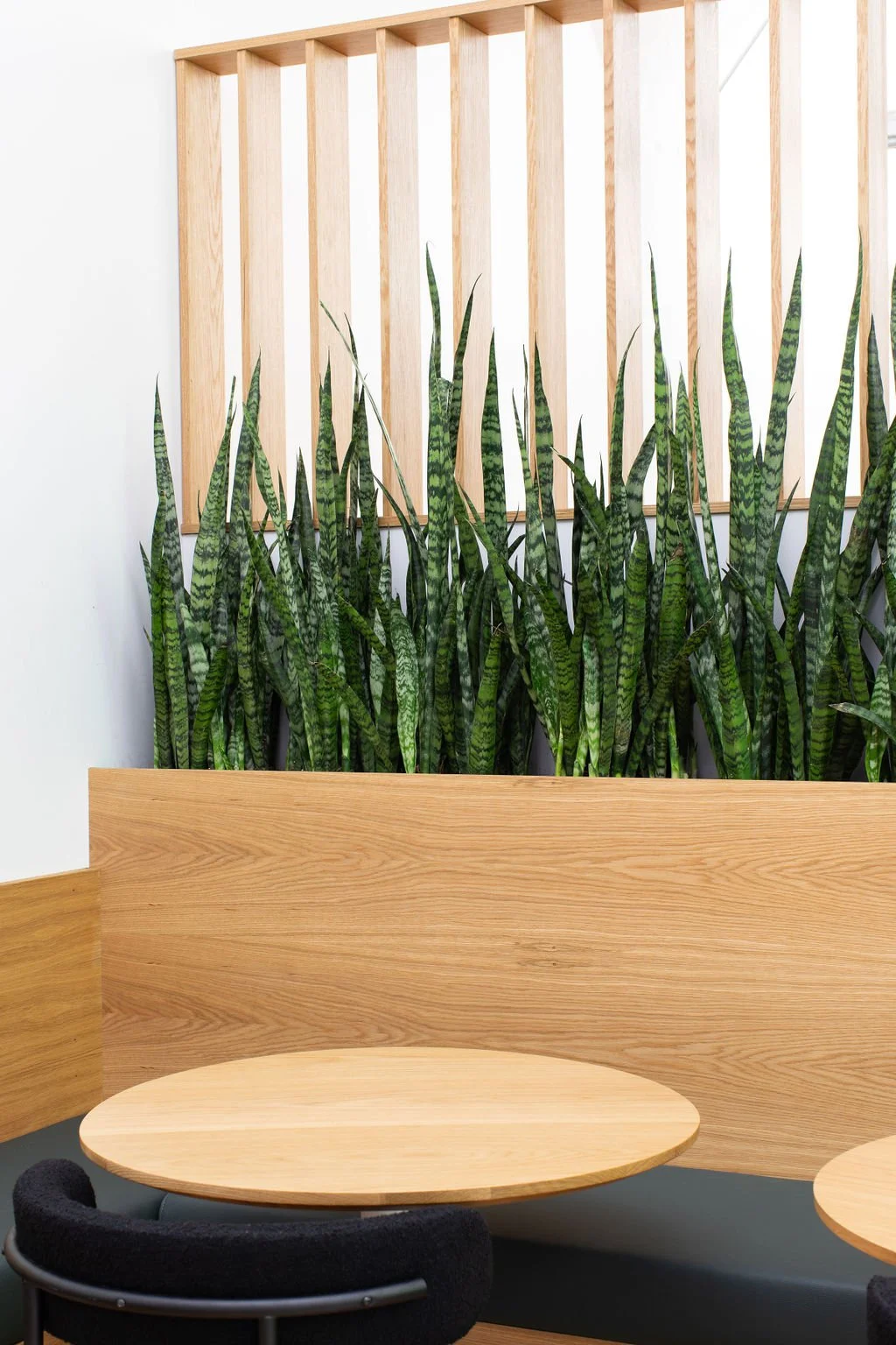 Custom oak planter and informal seating area at the HelloFresh Toronto office, designed by Flodström Interiors with tall snake plants, vertical timber slats and a round wood table.