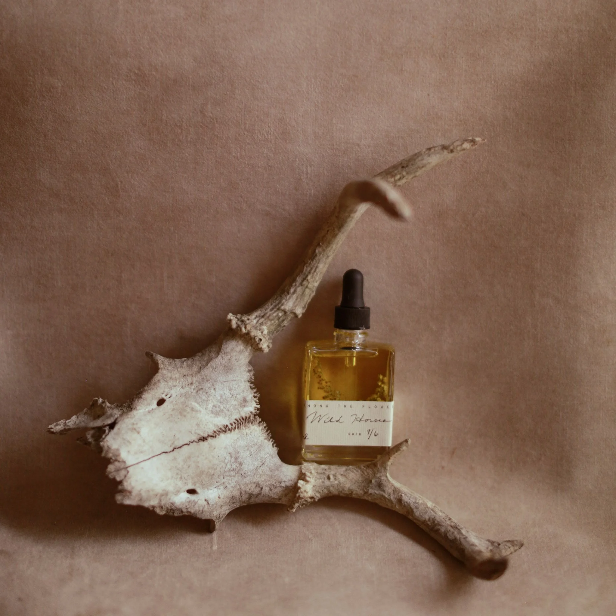 Wild Horses | organic perfume oil