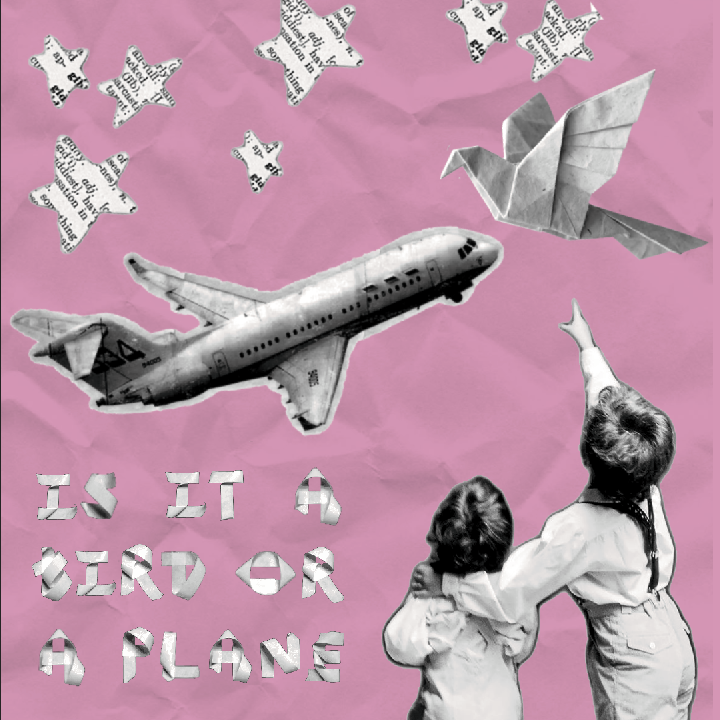is it a bird or a plane.png