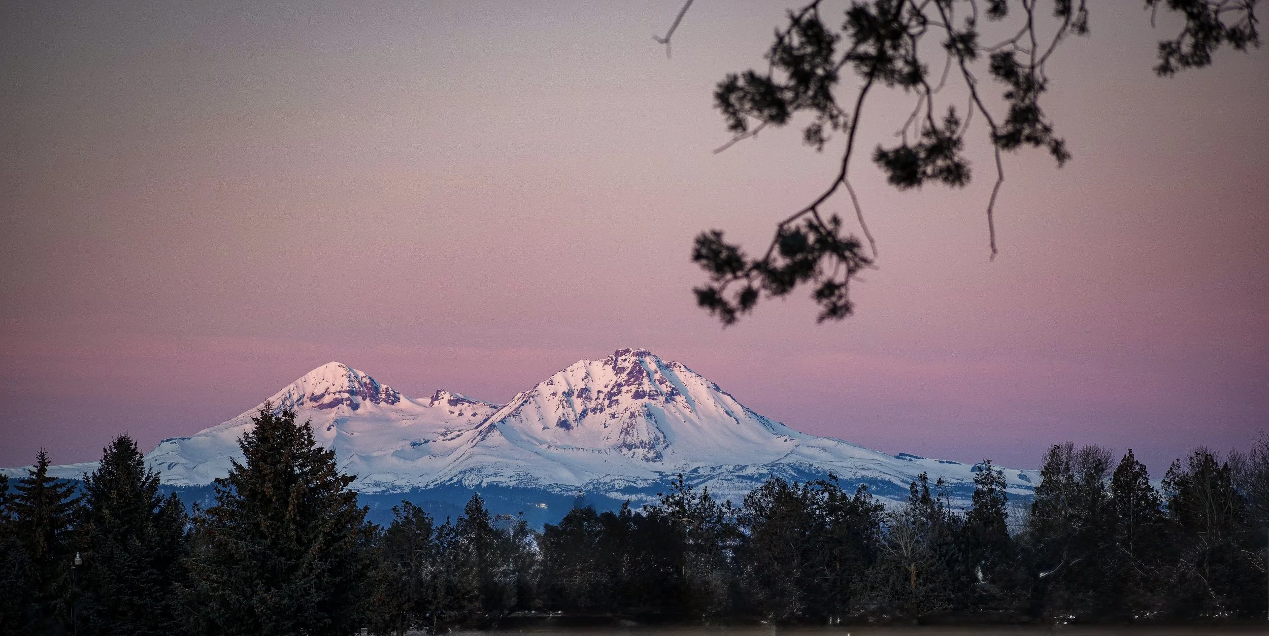 Snow-capped Cascade Mountains under a pinkish-purple sky, with tree branches silhouetted in the foreground.