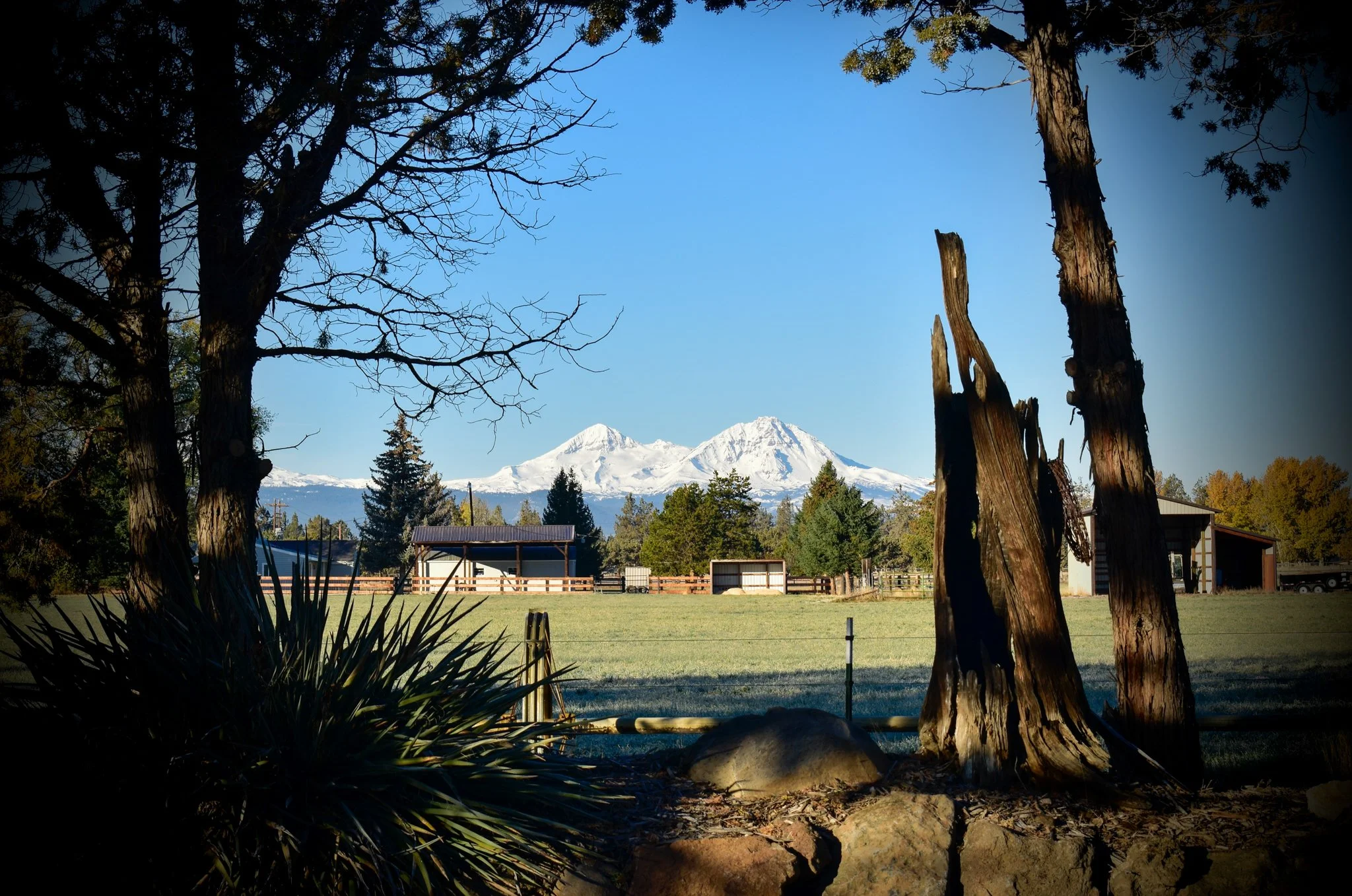 Original landscape photograph of Oregon's Cascade Mountains, with snow-covered peaks visible beyond trees, fencing, and a rural farm.