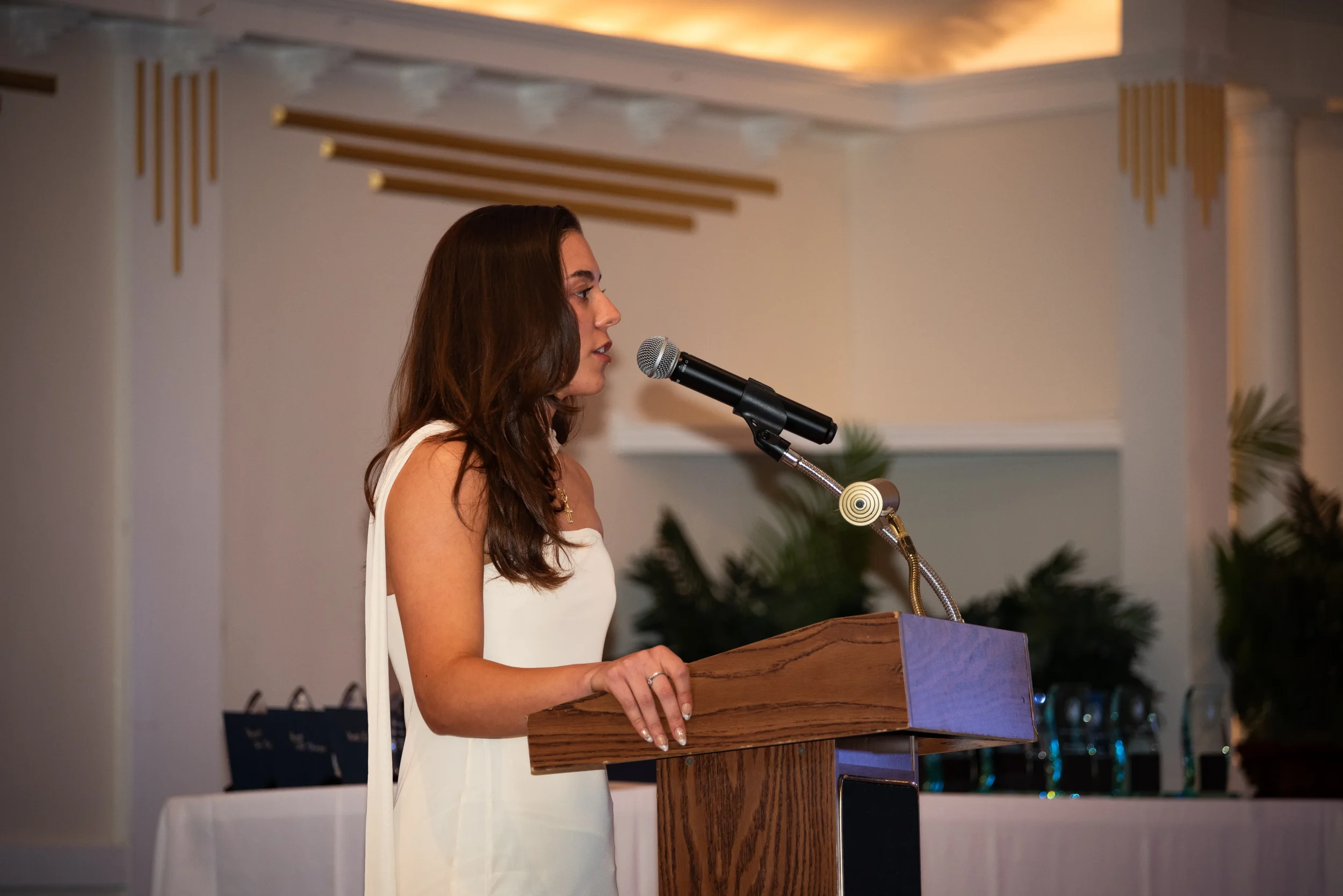 RIC STORGY Awards, 2026