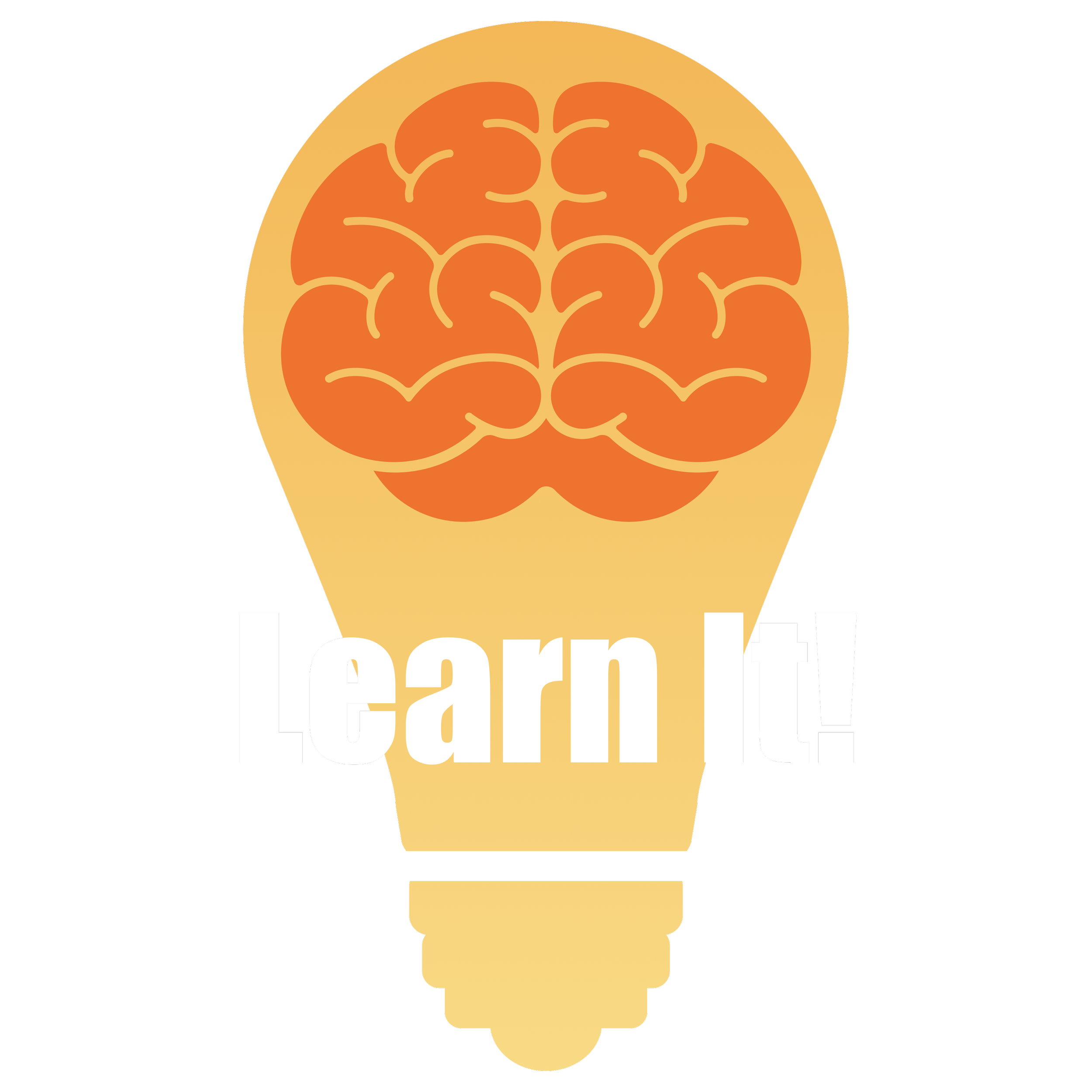Learn It! logo featuring an orange lightbulb with a brain inside.