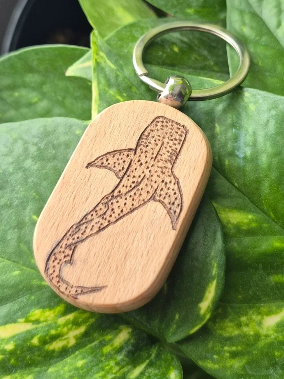 Whale Shark Oval Keychain
