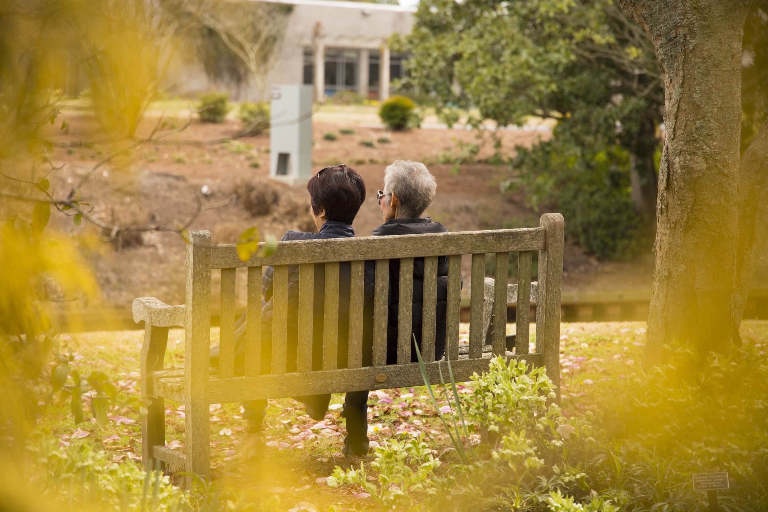 Two women with short hair, one with gray hair and the other with dark hair, sitting on a park bench in a garden area with trees and bushes, seen from behind, during daytime.